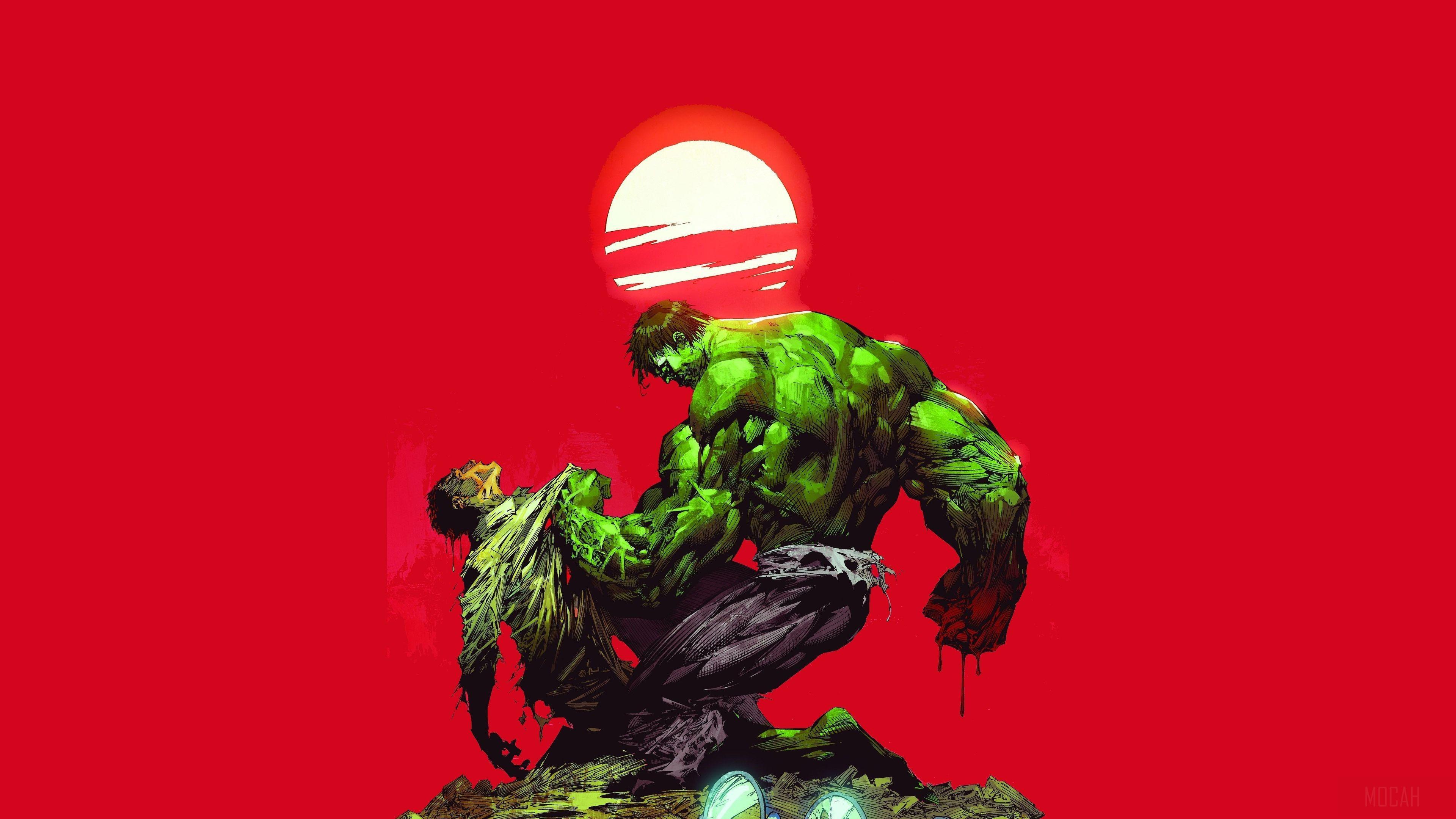 HD wallpaper, Bruce Banner Vs The Hulk 4K