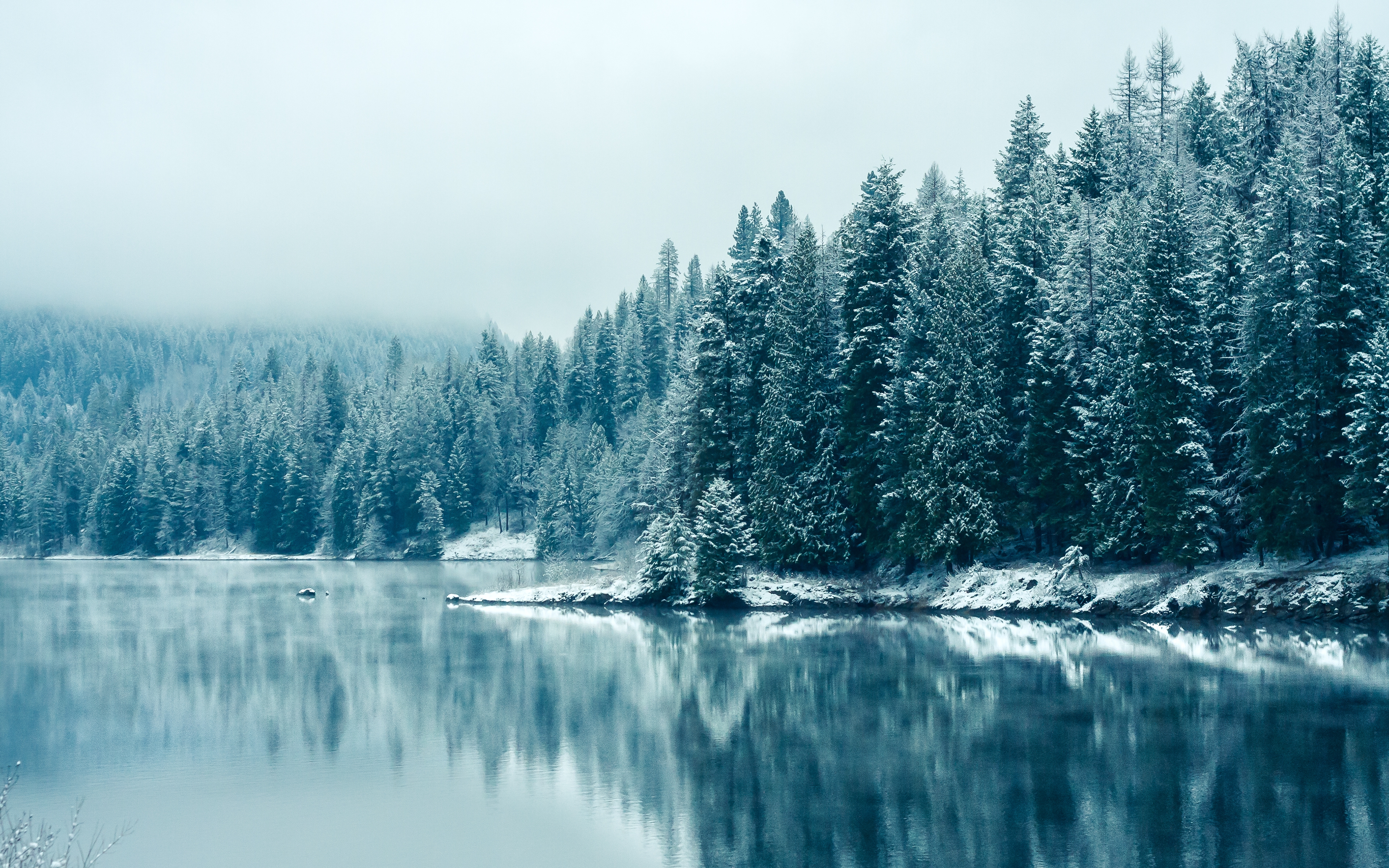 HD wallpaper, Canada, British Columbia, Winter, Landscape, Mirror Lake, Forest, Snowy Trees, Early Morning, Misty, Snowfall, Reflection, Kootenay River