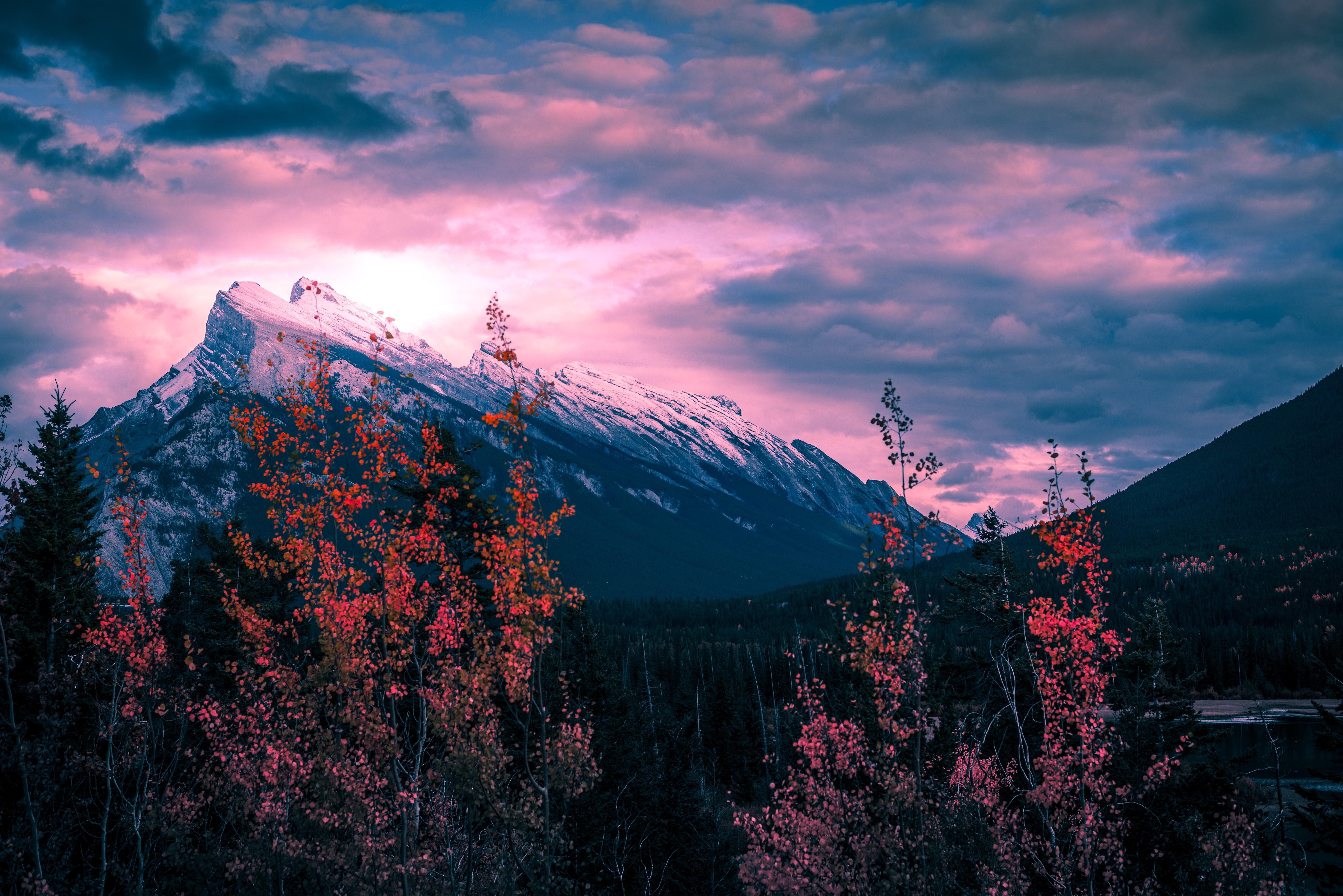 HD wallpaper, Clouds, Canada, Purple Sky, Sunset, Mount Rundle, Trees, 5K, Mountain Peak, Golden Hour
