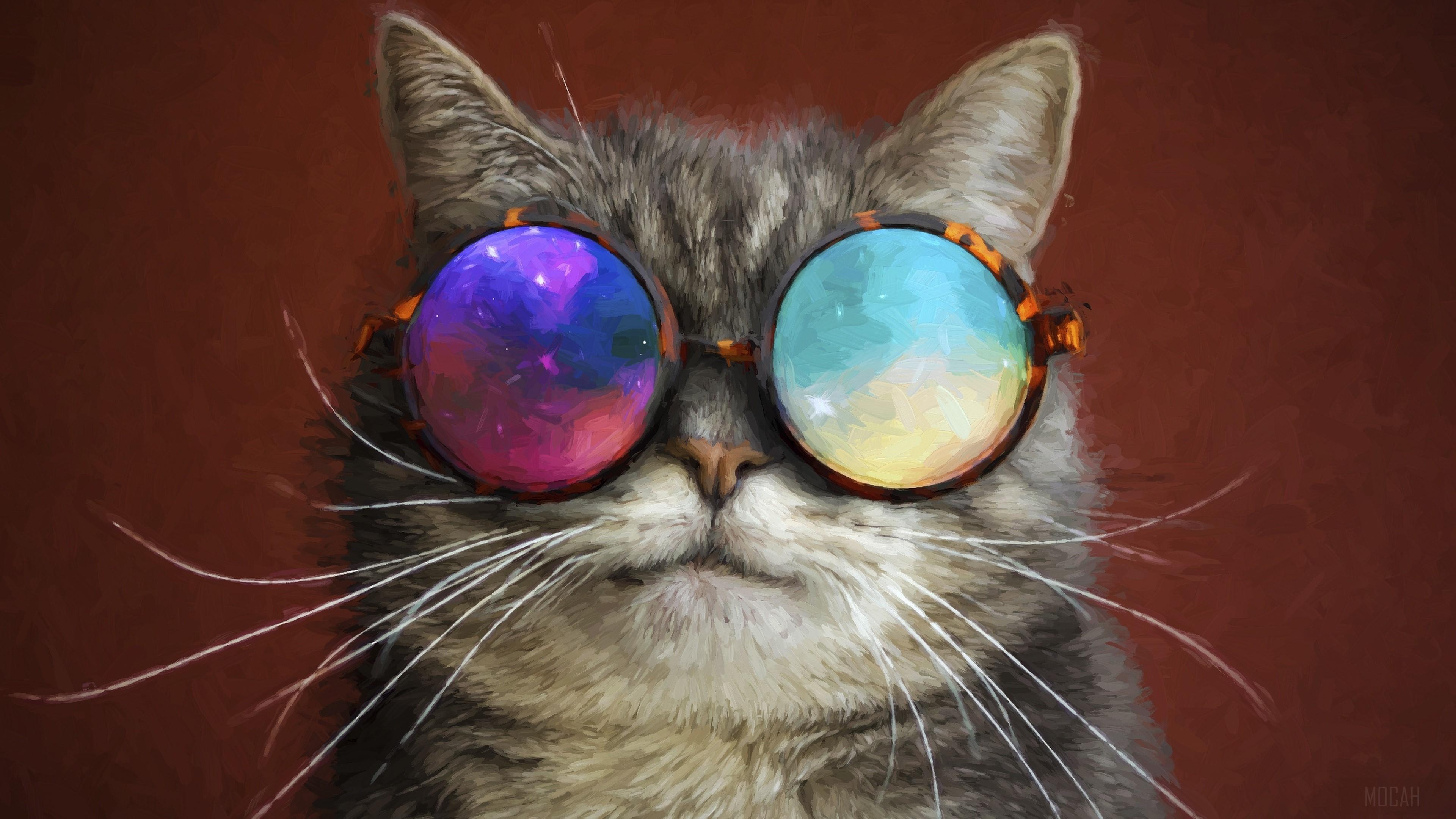 HD wallpaper, Cat Glasses Party Cool Painting 4K