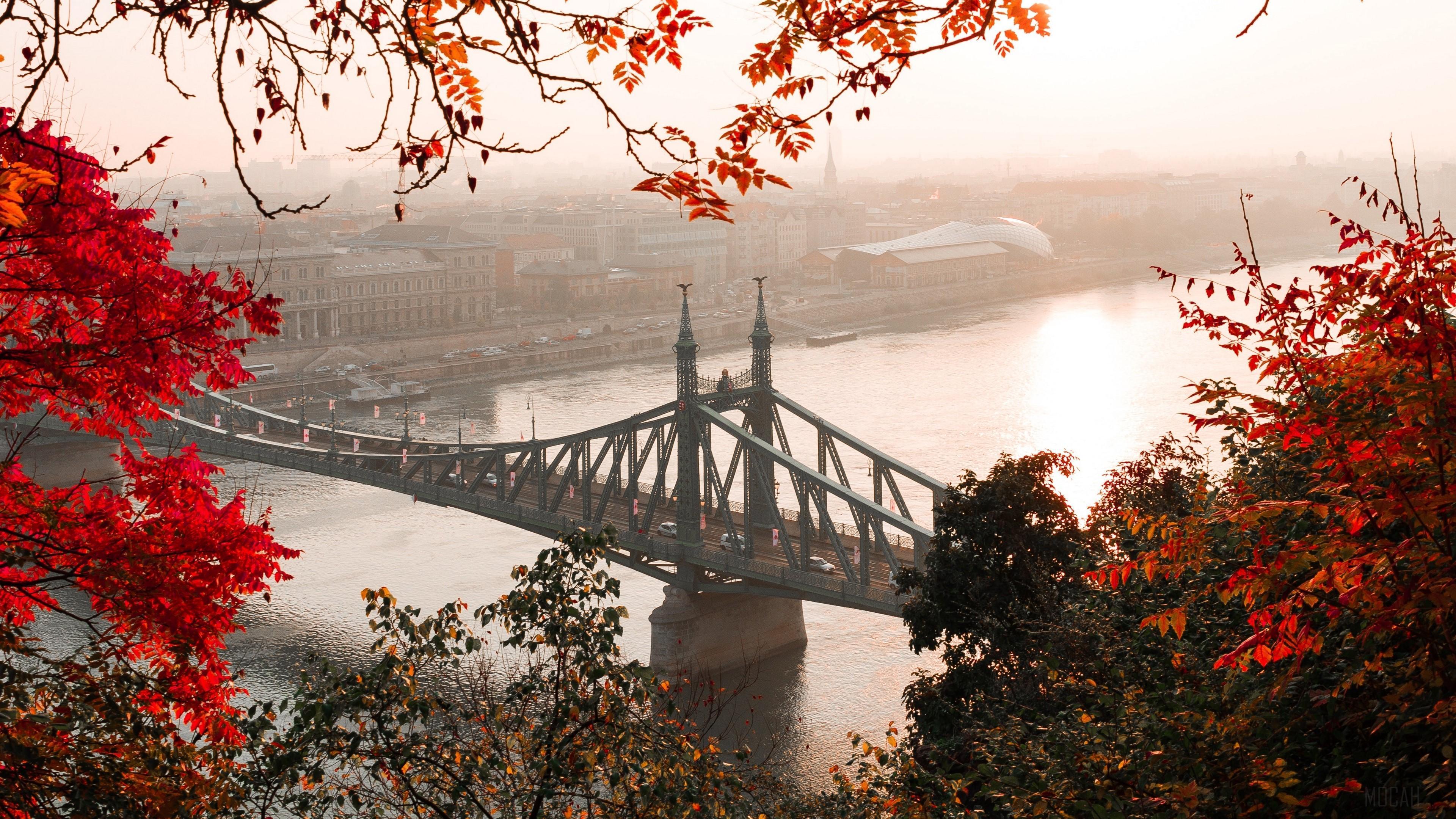 HD wallpaper, Citadella, Budapest, Autumn, Hungary 4K, City, Bridge