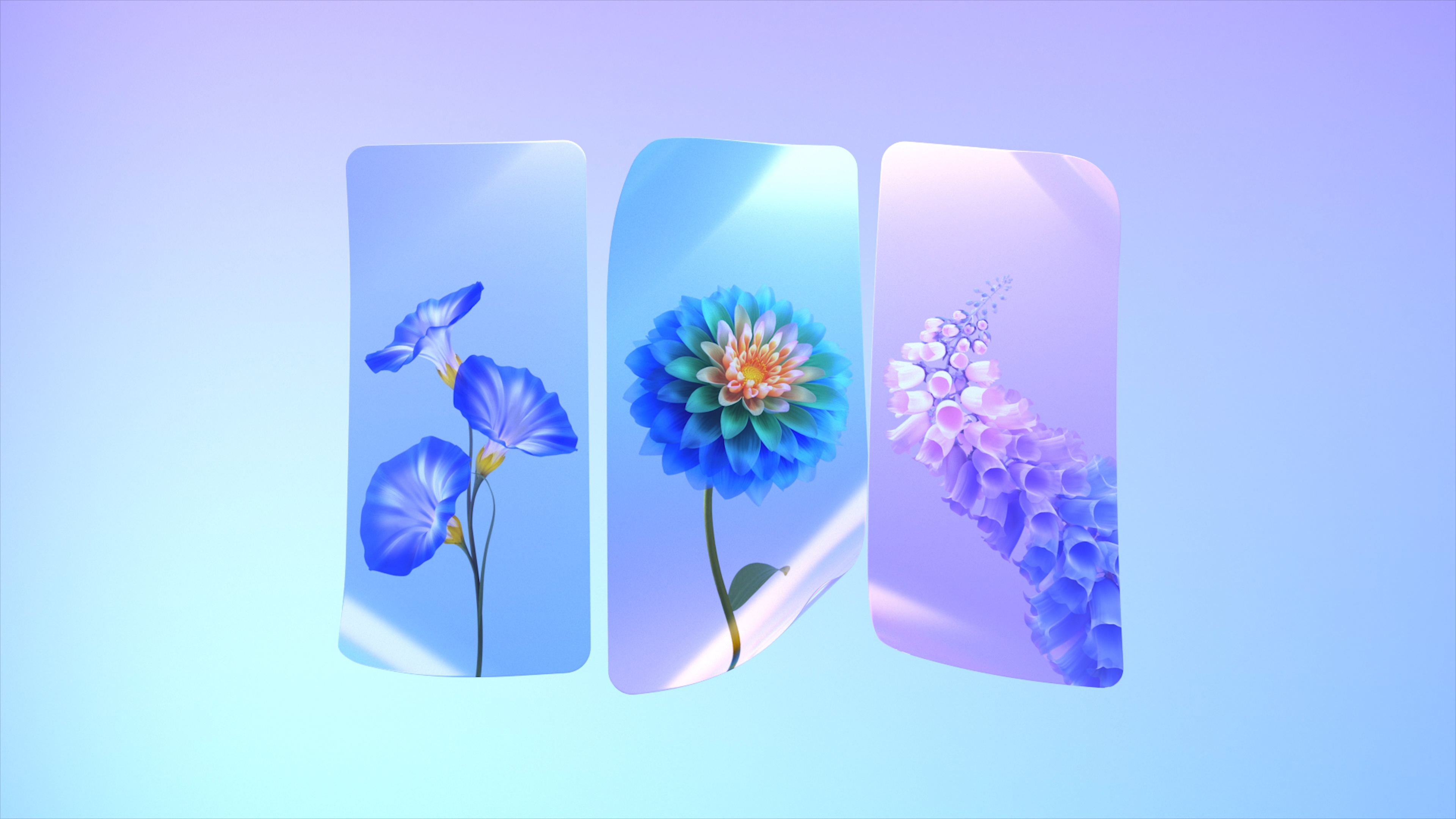 HD wallpaper, Colorful Flowers, Seasons, Spring Flowers, Gradient Background
