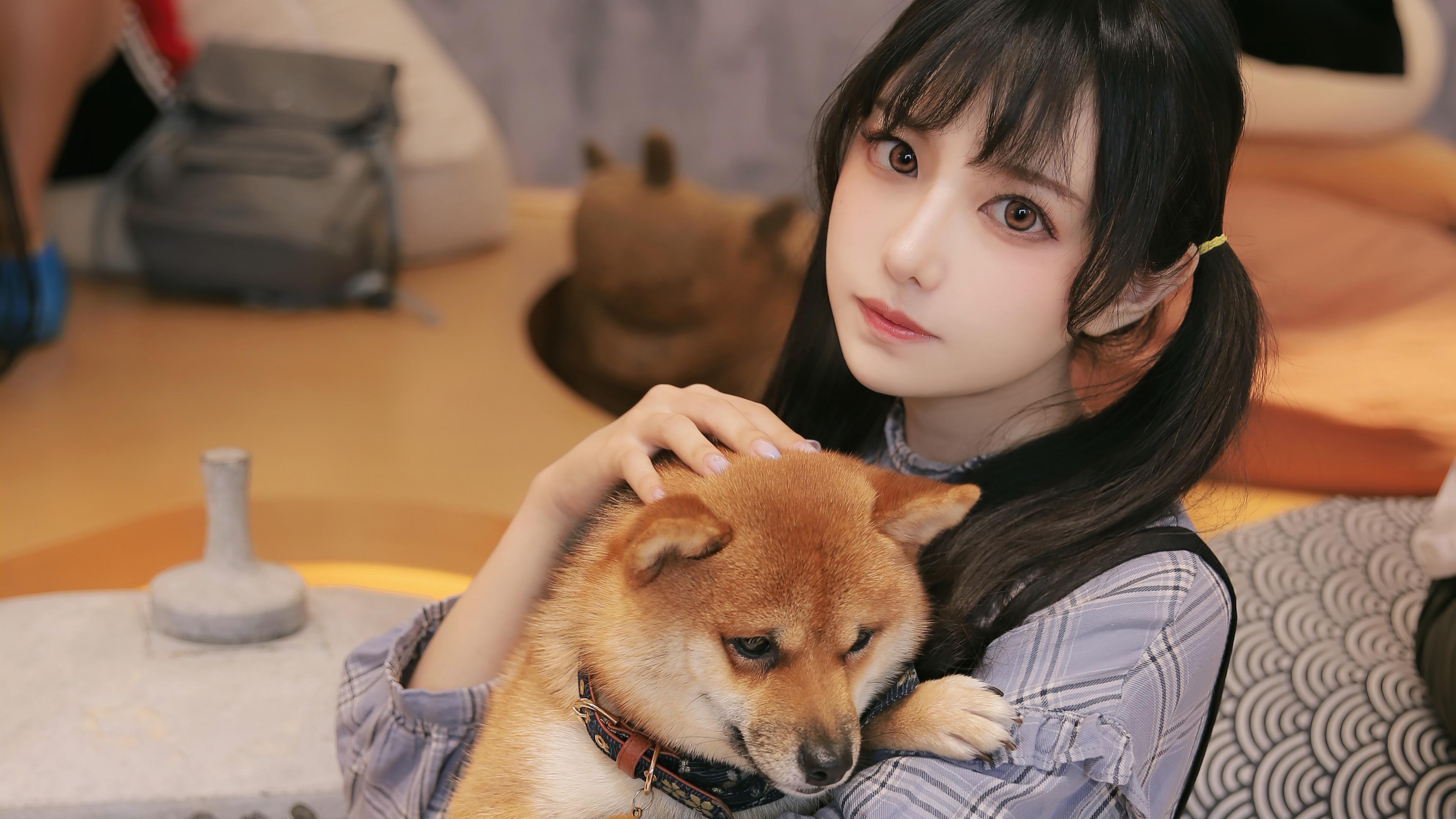 HD wallpaper, Dog, Shiba Inu, Girl, With Japanese, 4K, Hd, Cute, Asian, Wallpaper