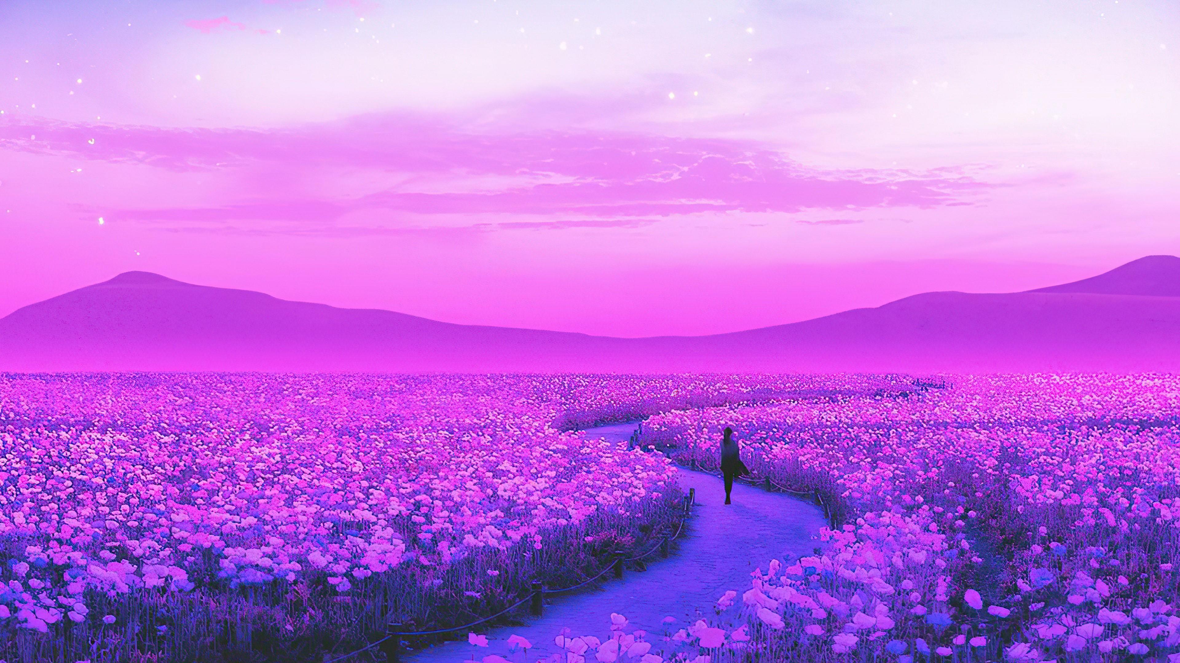 HD wallpaper, Day Dreaming Lavender Field 4K