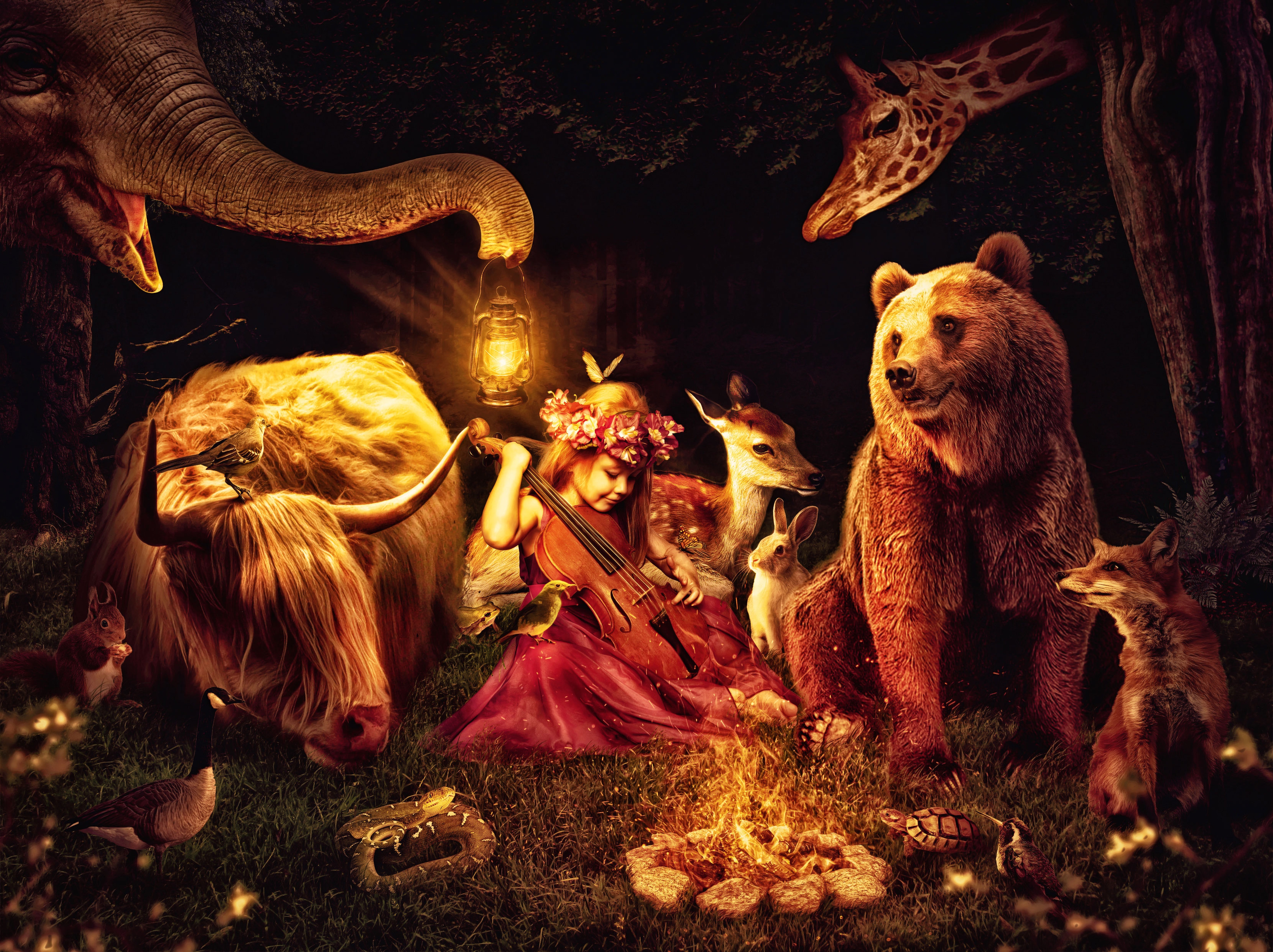 HD wallpaper, Surreal, Fox, Dream, Little Girl, Bear, Giraffe, Rabbit, Forest, Midnight, Deer, Playing Violin