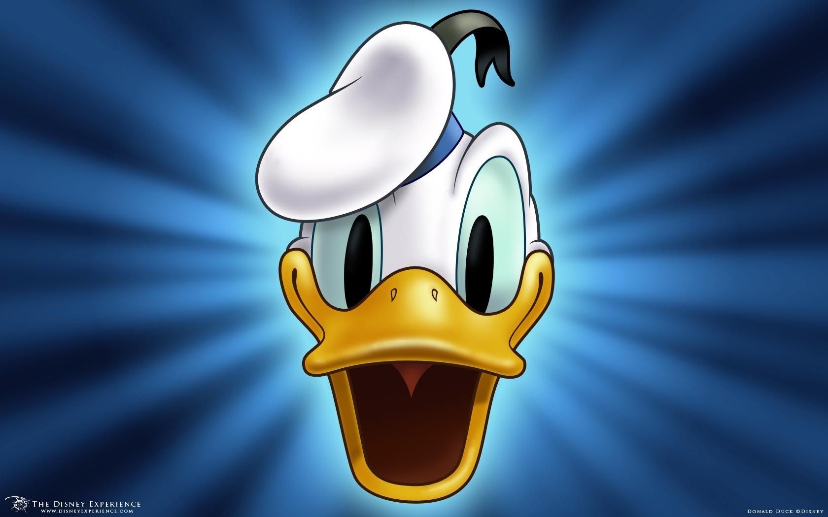 HD wallpaper, Cartoon, Duck, Donald