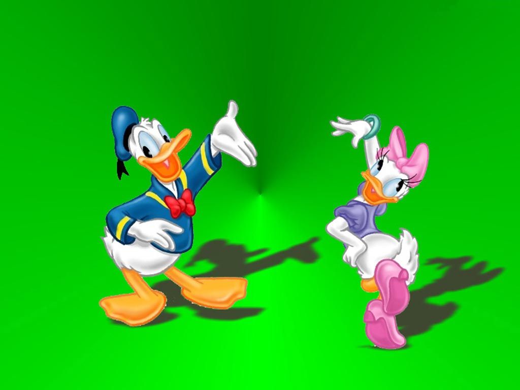 HD wallpaper, Donald, Duck
