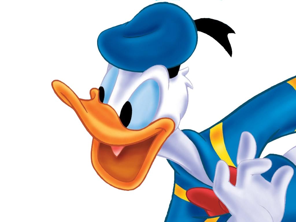 HD wallpaper, Duck, Donald