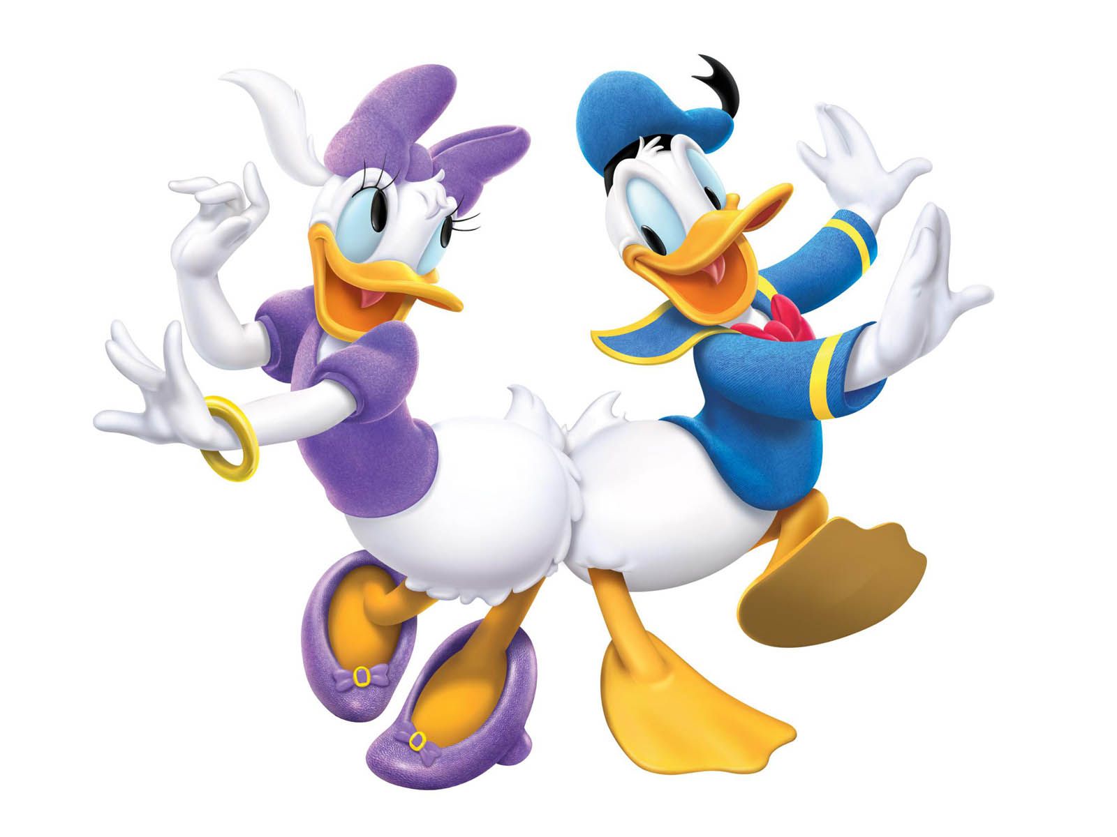 HD wallpaper, Donald, Duck
