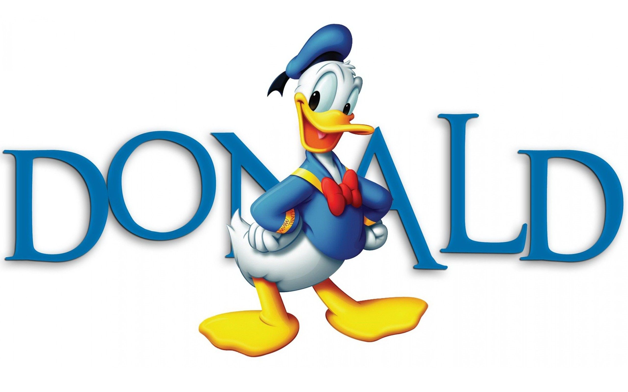 HD wallpaper, Duck, Donald