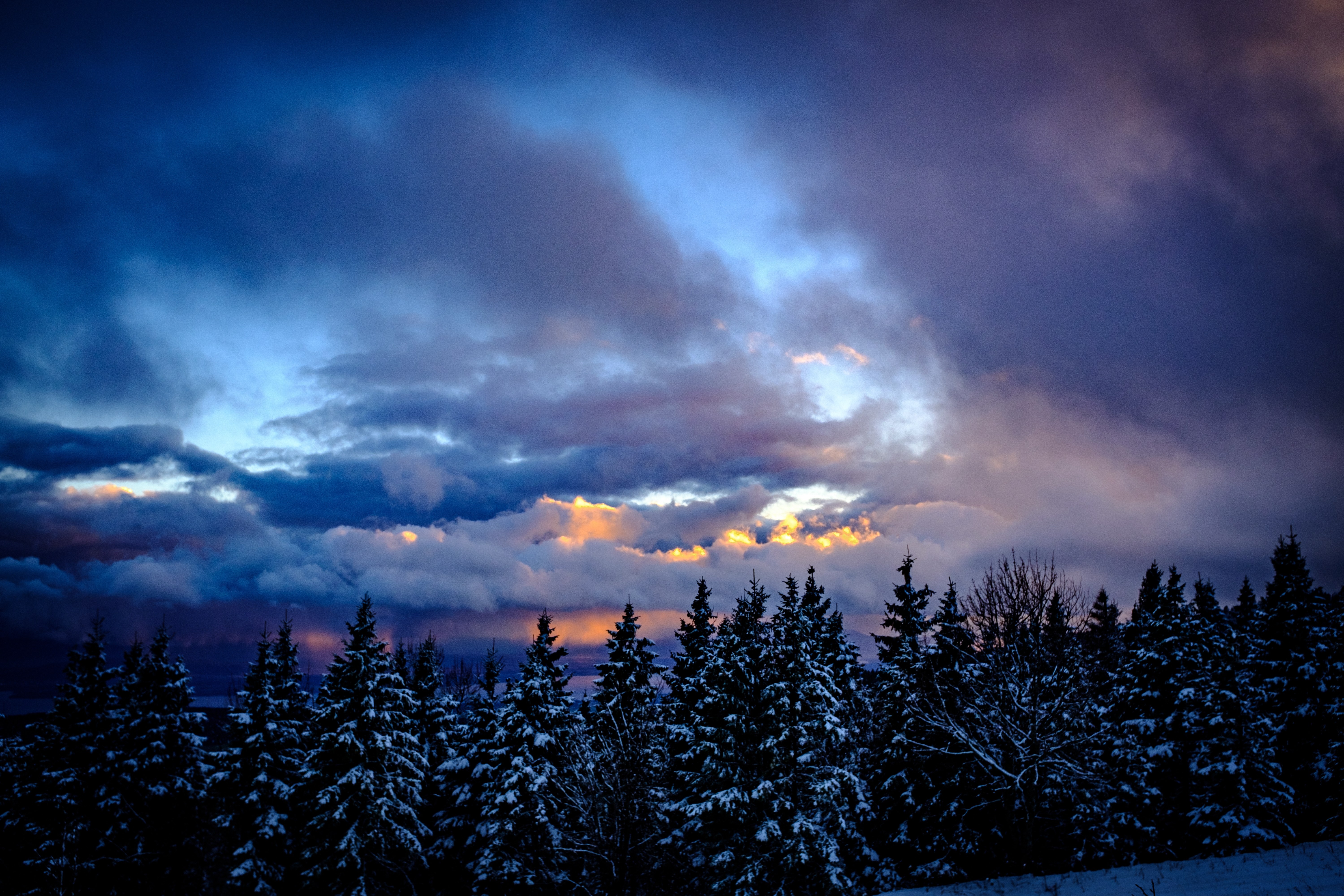HD wallpaper, Snowy Trees, Dusk, Cloudy Sky, Scenic, 5K, Winter