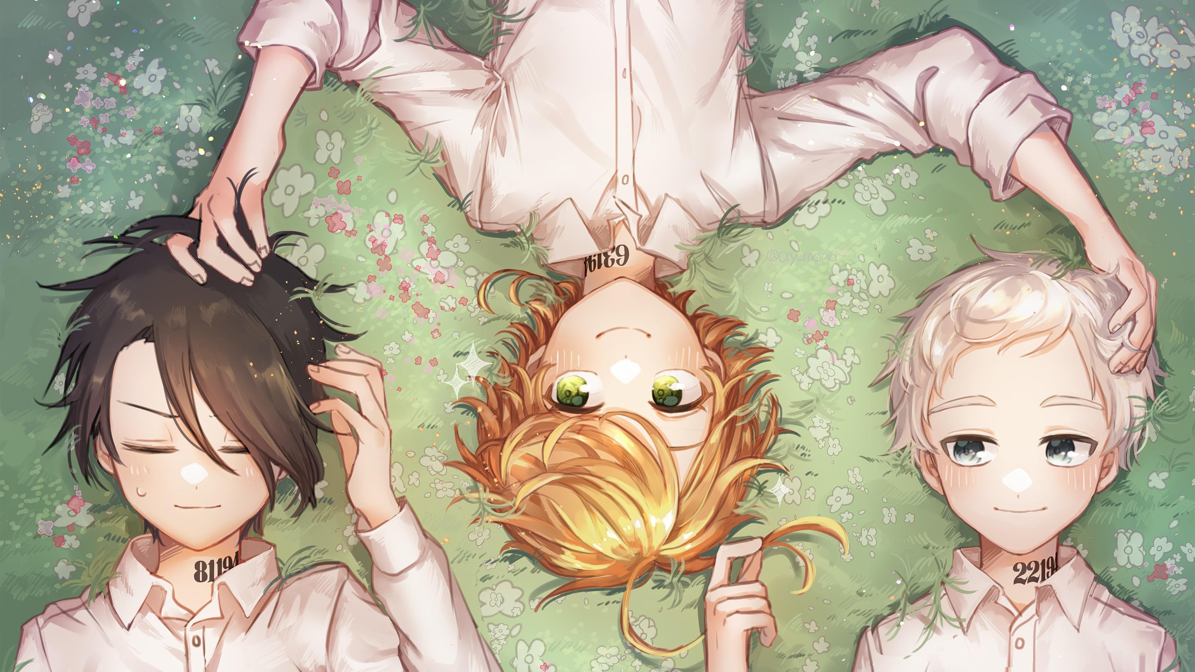 HD wallpaper, Norman, Ray, Wallpaper, 4K, Hd, Emma, The Promised Neverland