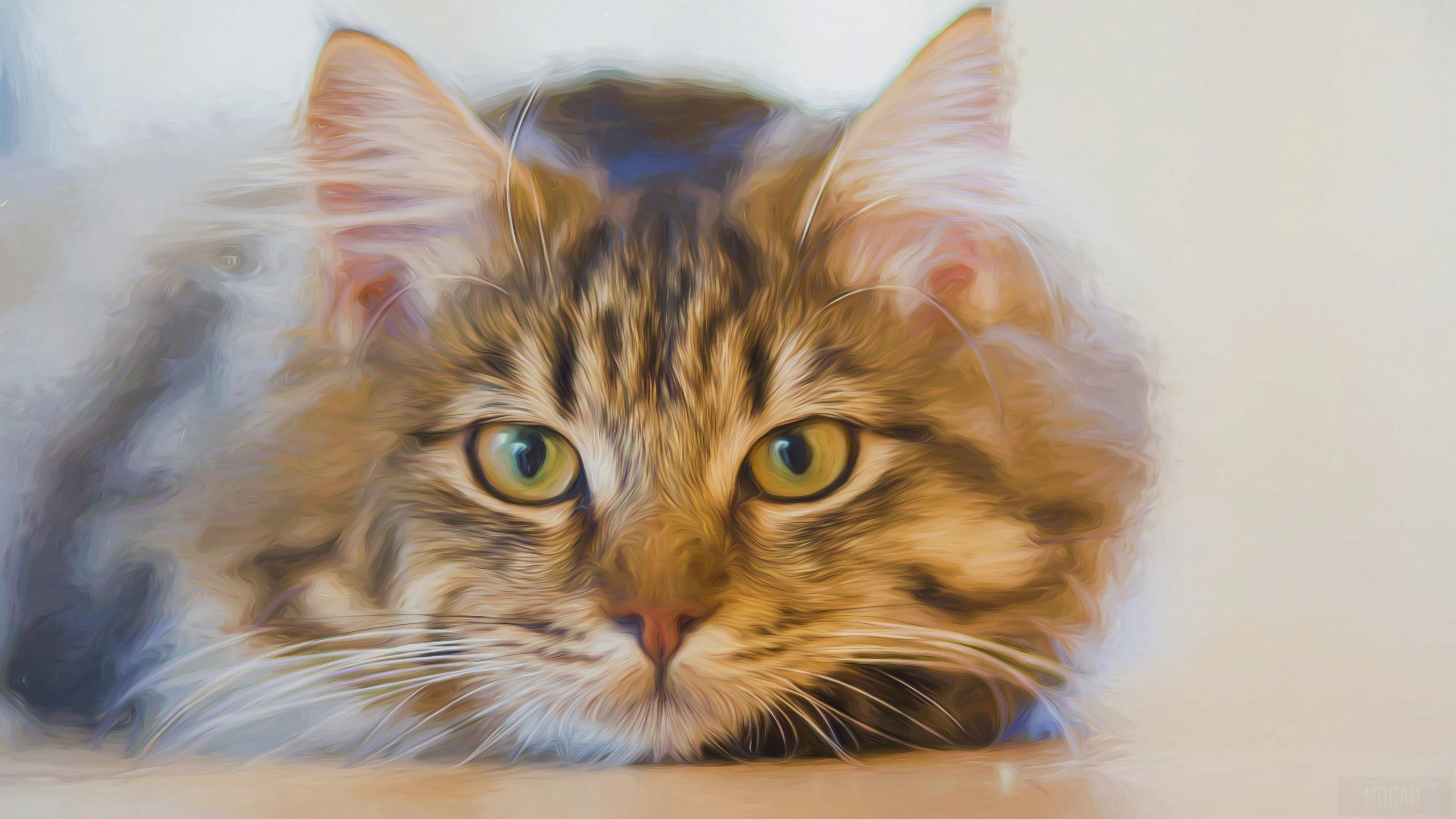 HD wallpaper, Oil Painting, Cat, Face, Painting, Pet 4K, Artistic