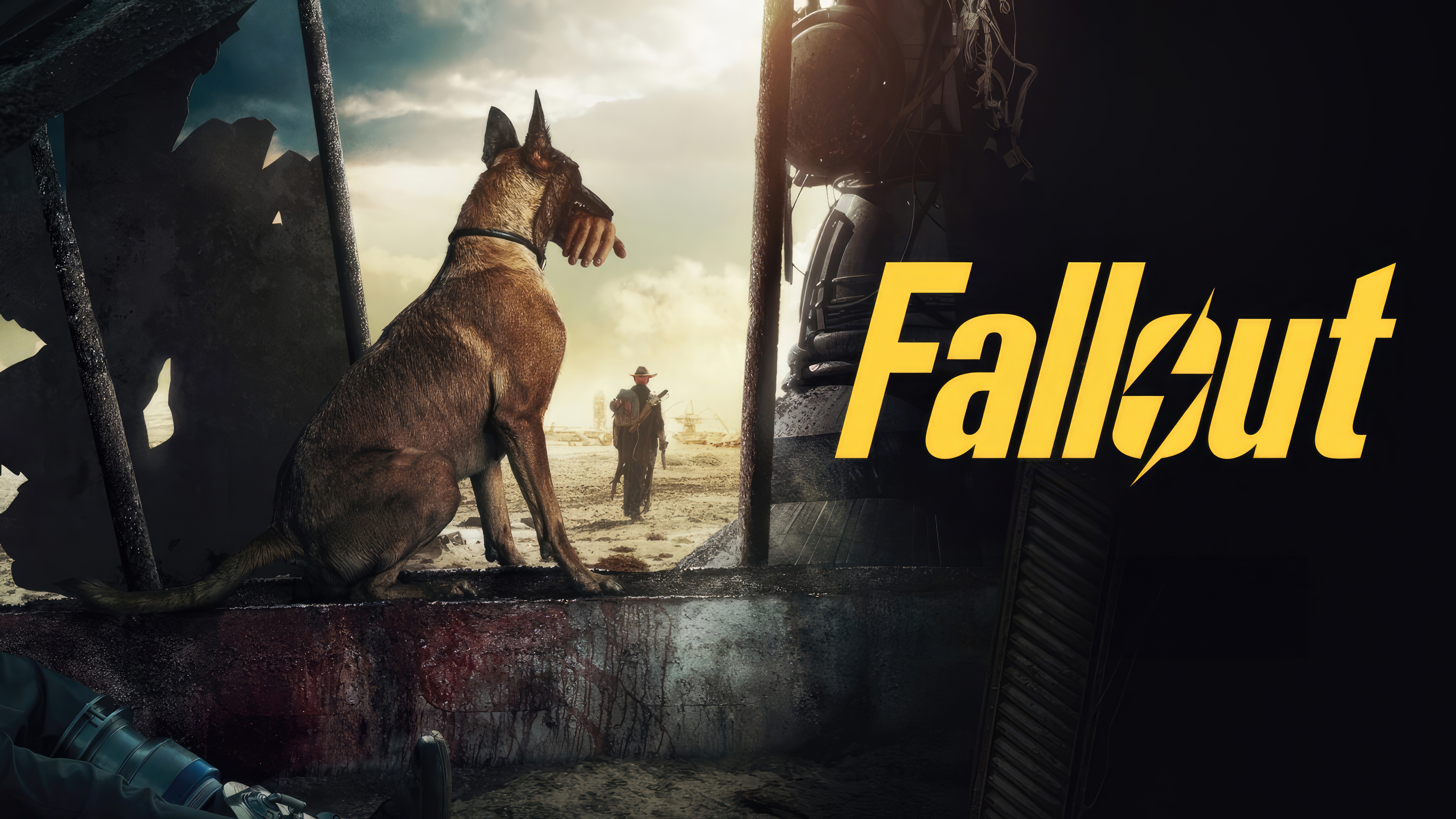 HD wallpaper, 5K, Dogmeat, Prime Series, Fallout, 2024 Series