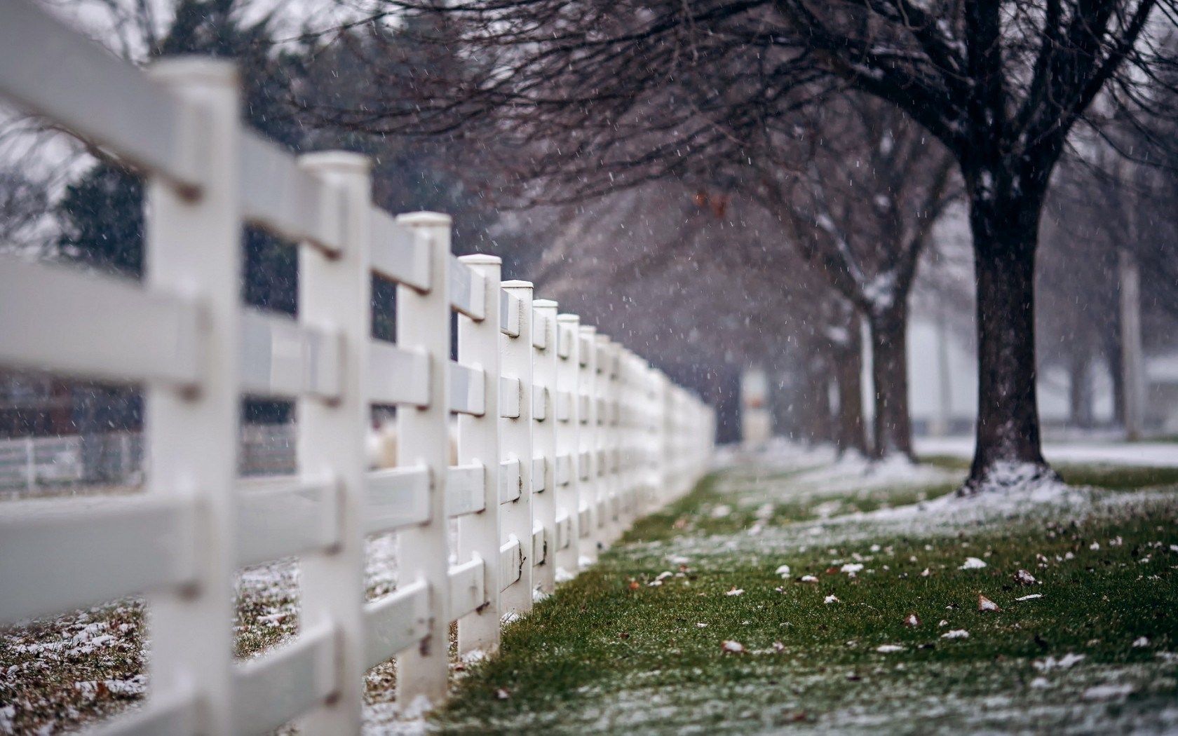 HD wallpaper, Snow, Snowflakes, Trees, Nature, Fence