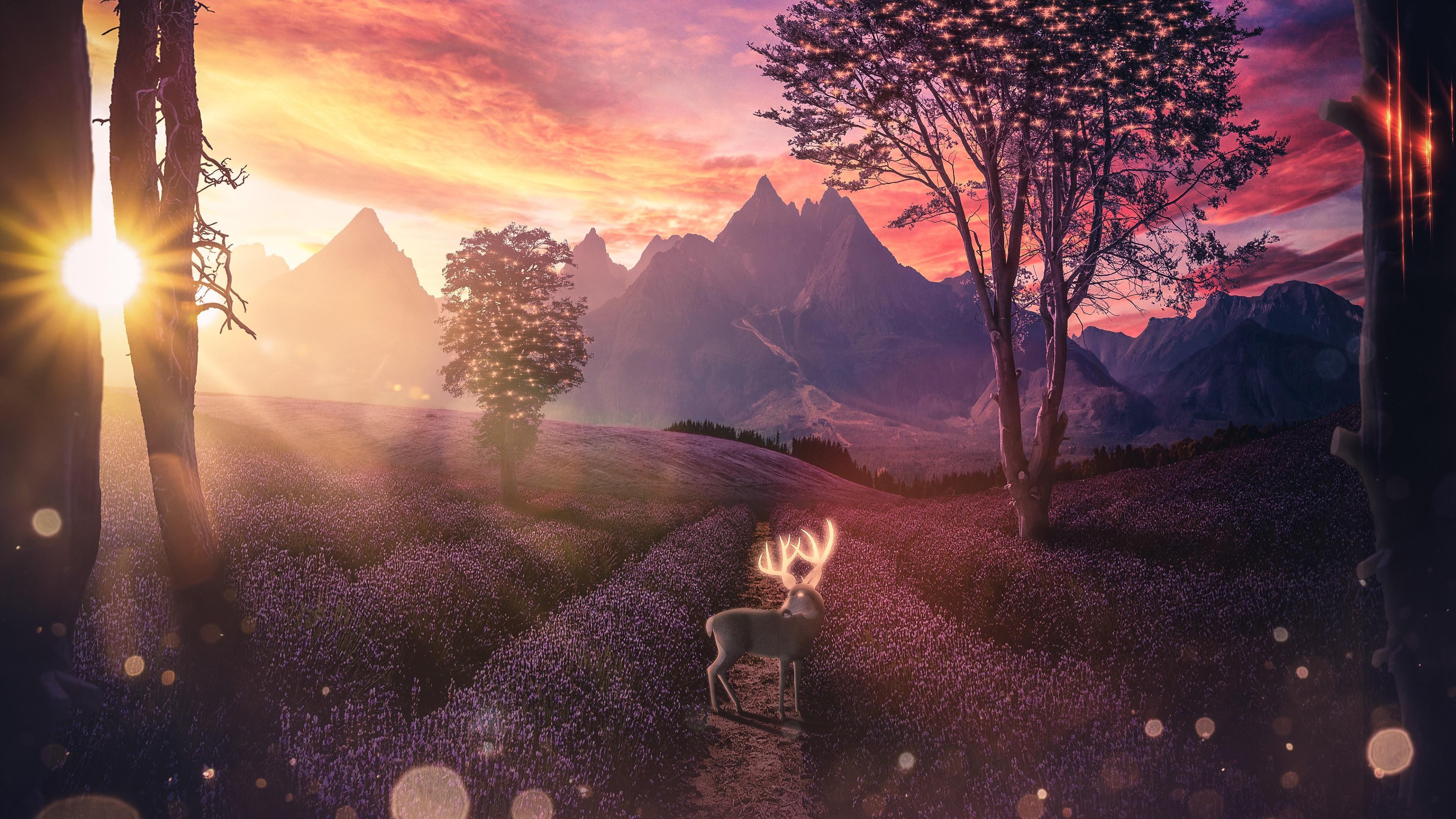 HD wallpaper, Lavender, Digital Art, 4K, Field, Flower, Scenery, Deer, Landscape, Sunset