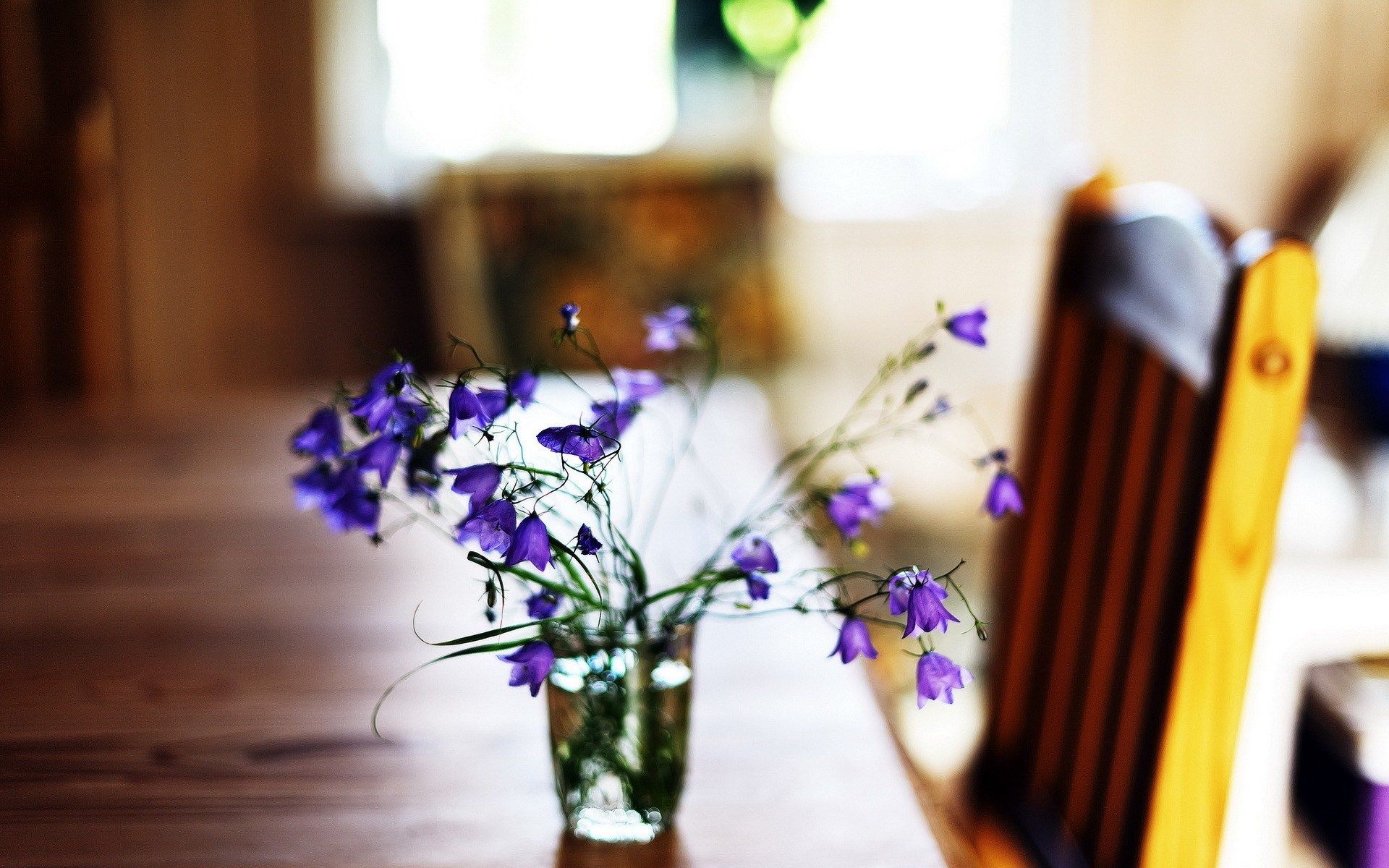 HD wallpaper, Close, Flowers, Table, Up