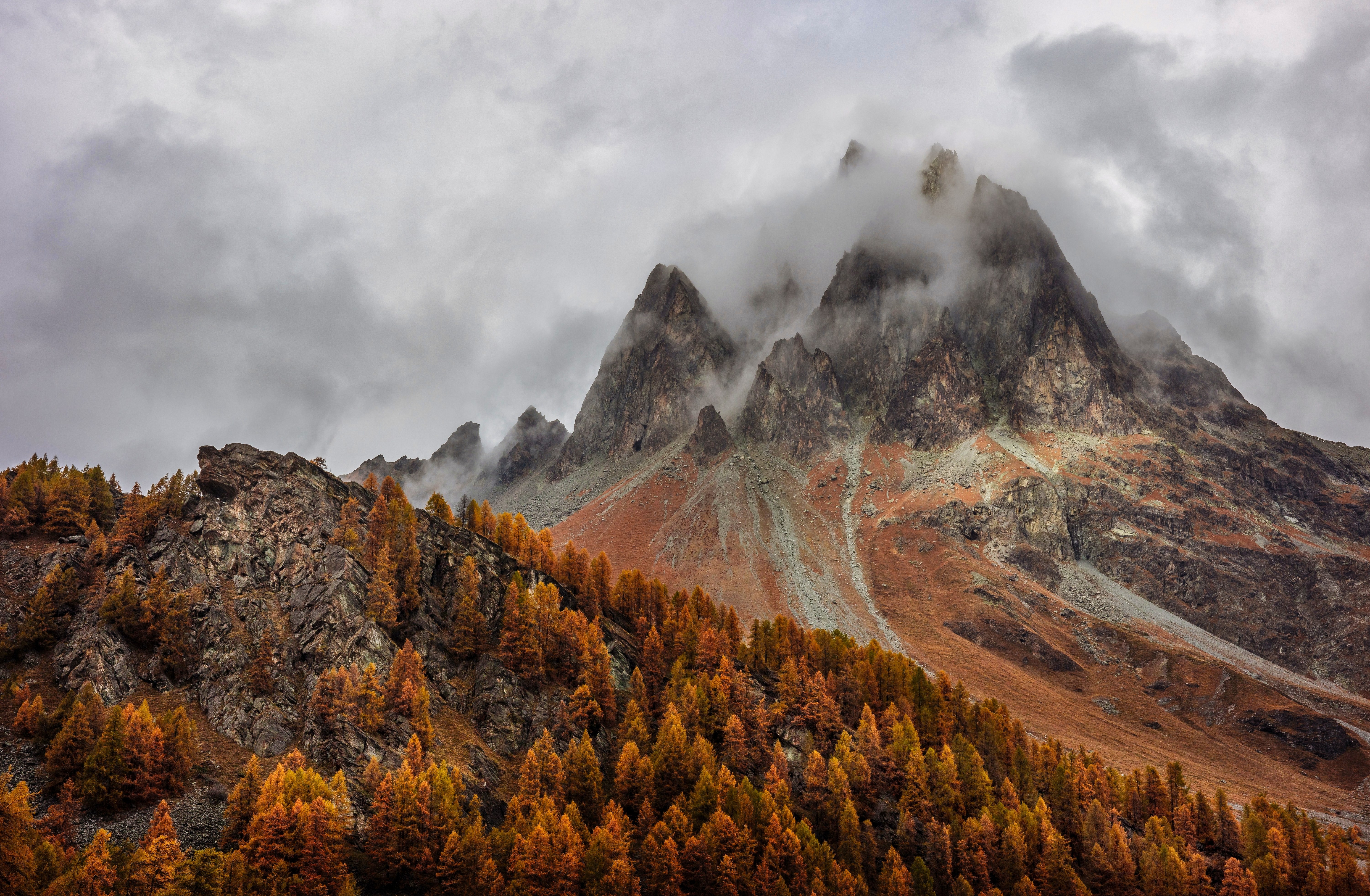HD wallpaper, Foggy, Grisons, 5K, Switzerland, Peak, Autumn, Mountains, Forest