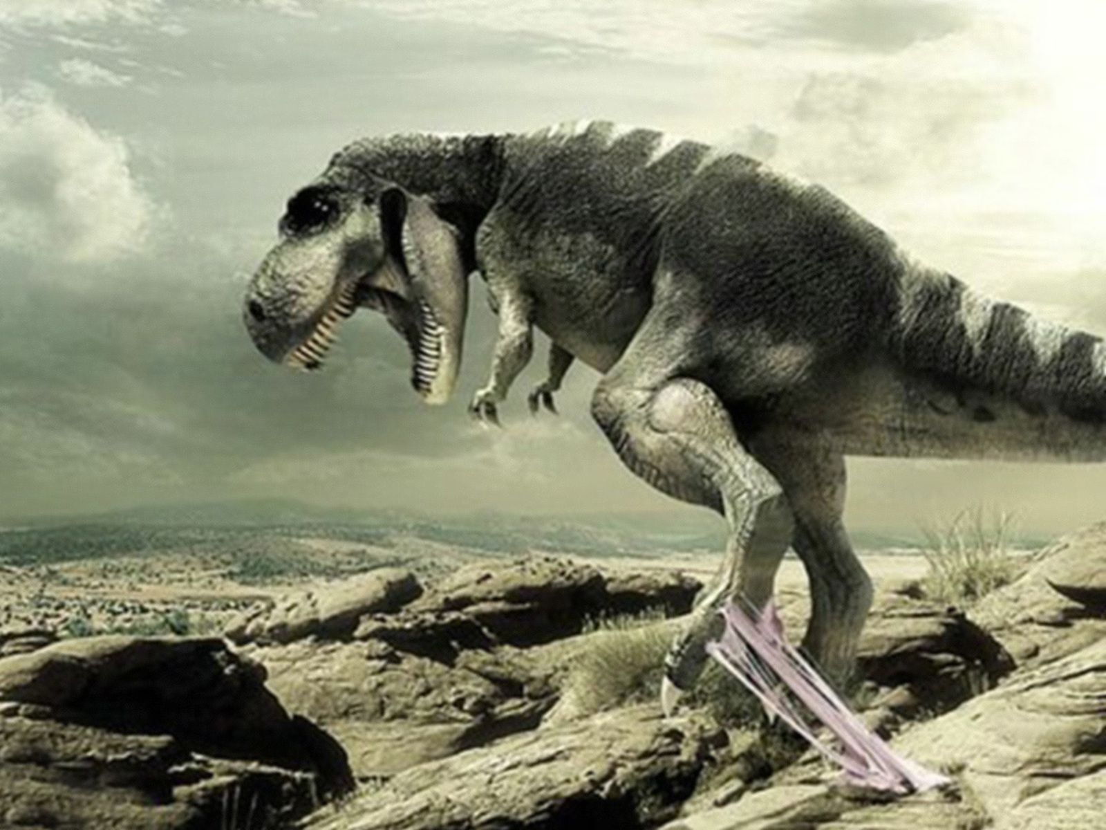 HD wallpaper, Funny, Dinosaur, Pictures