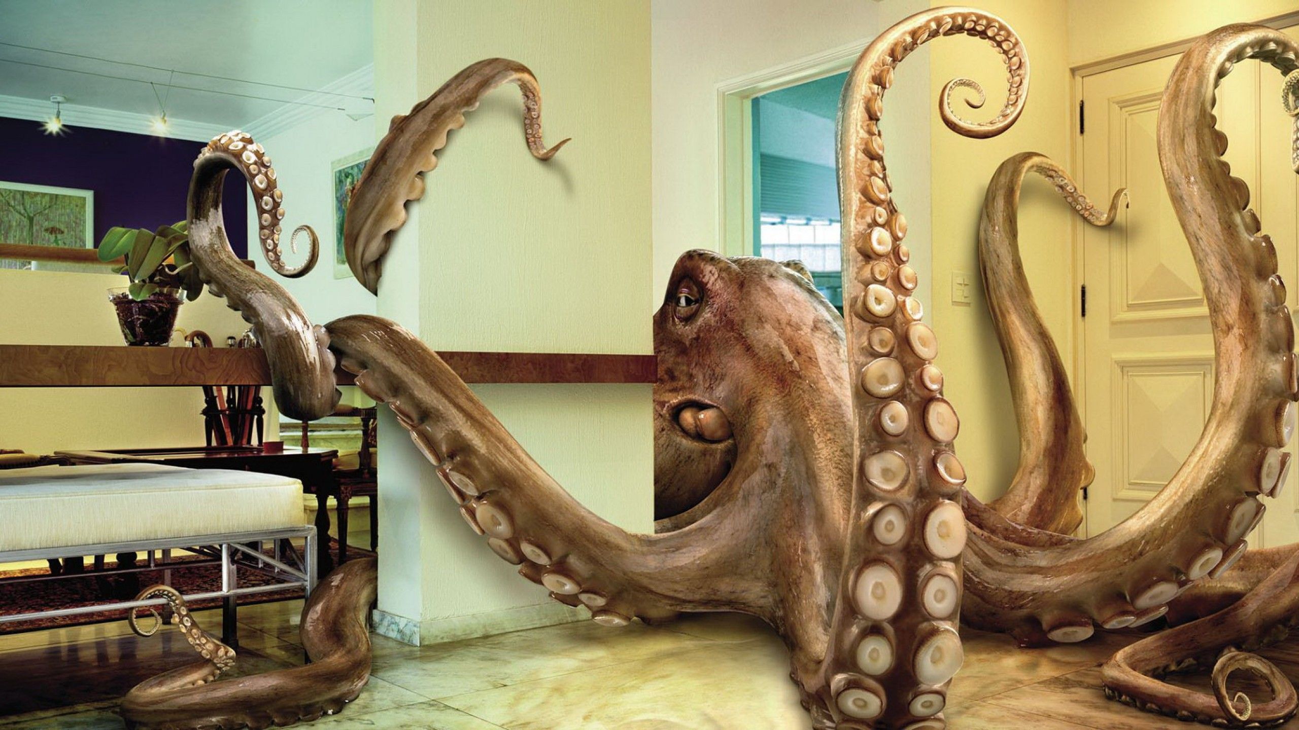 HD wallpaper, Funny, Giant, Attack, Octopus