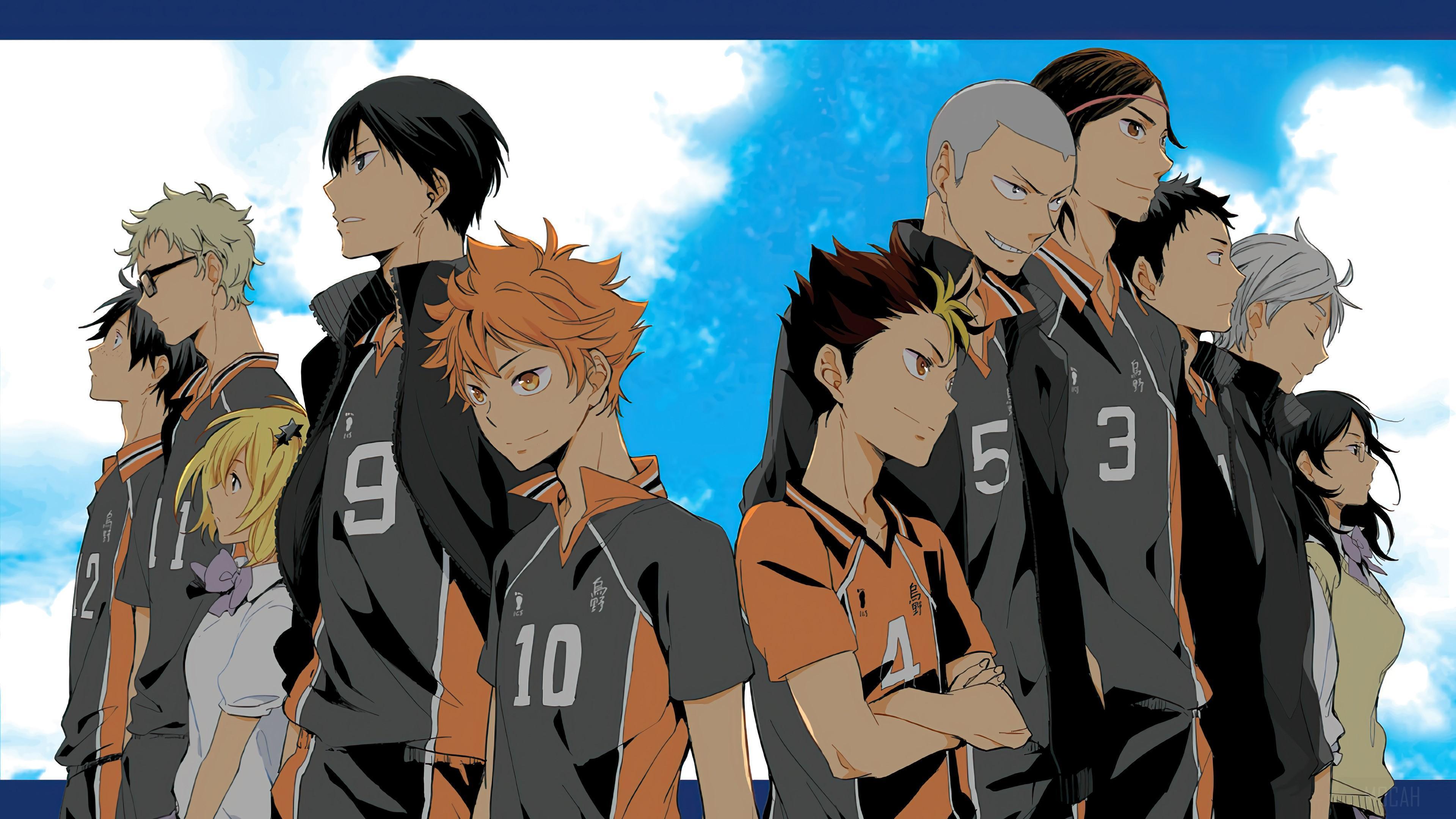 HD wallpaper, Haikyuu, Karasuno, Team 4K, Anime, Volleyball