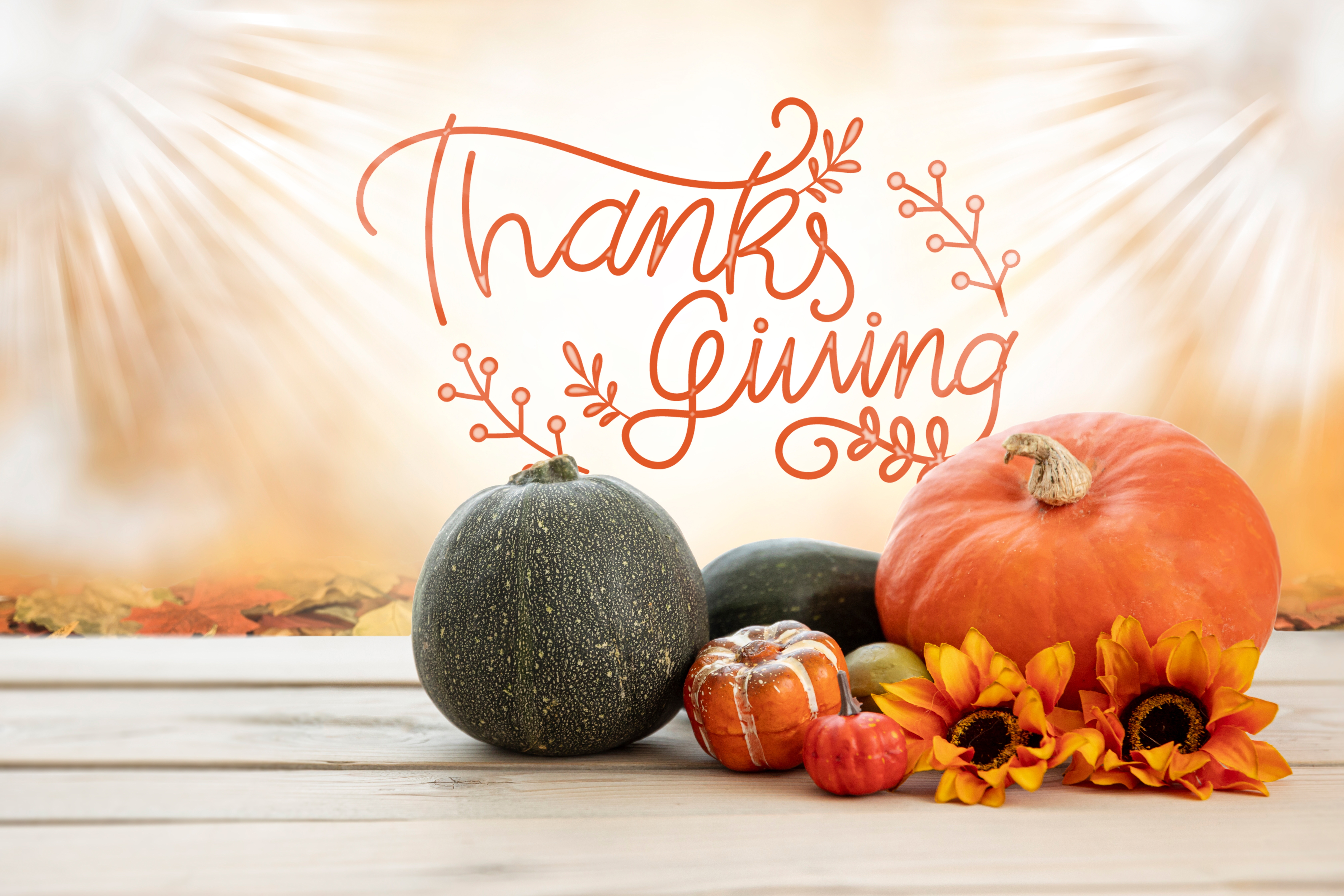 HD wallpaper, Wooden Floor, Thanksgiving Day, Happy Thanksgiving, Sunflowers, Pumpkins