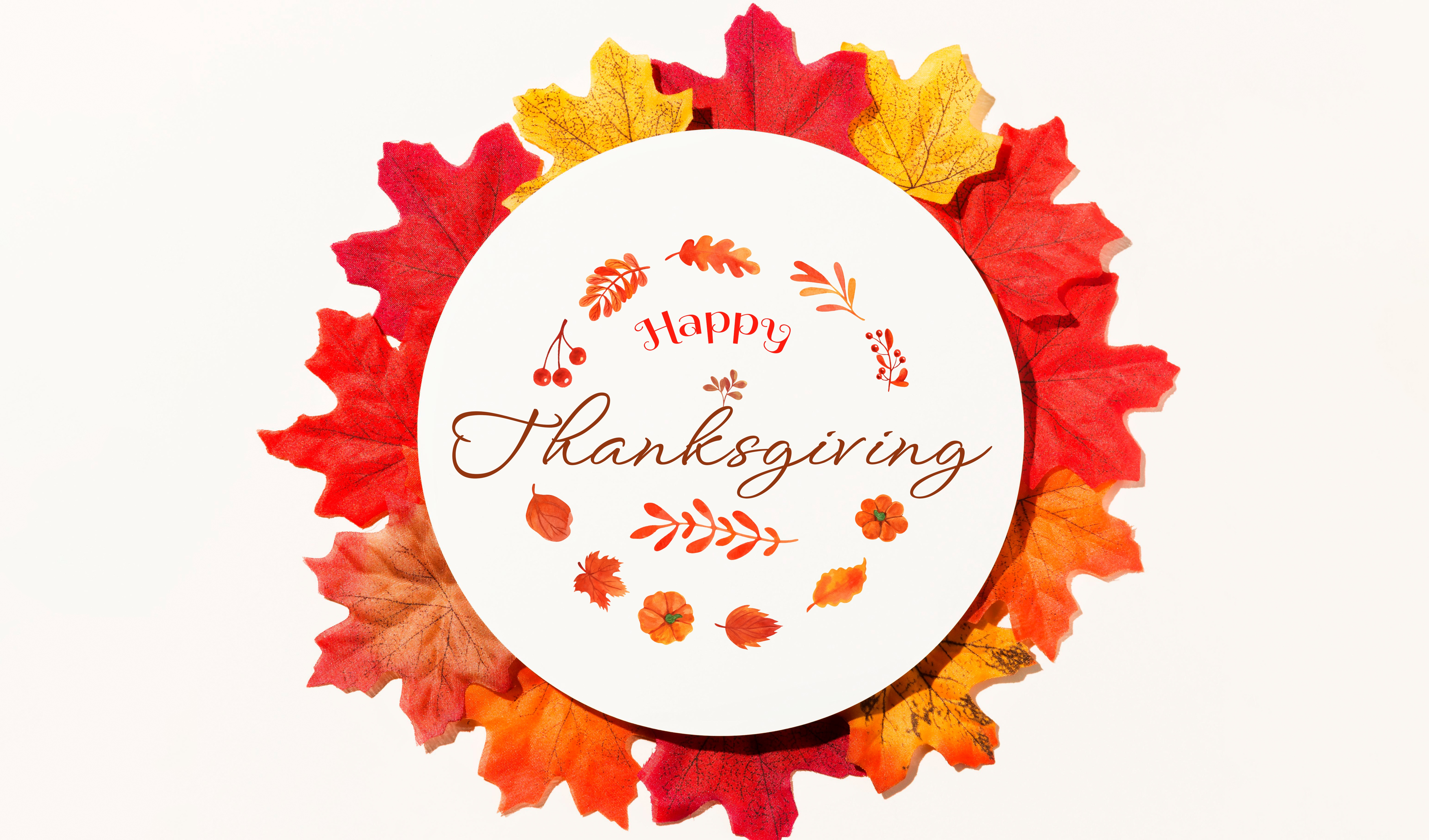 HD wallpaper, White Background, Autumn Leaves, Thanksgiving Day, Fall, Happy Thanksgiving
