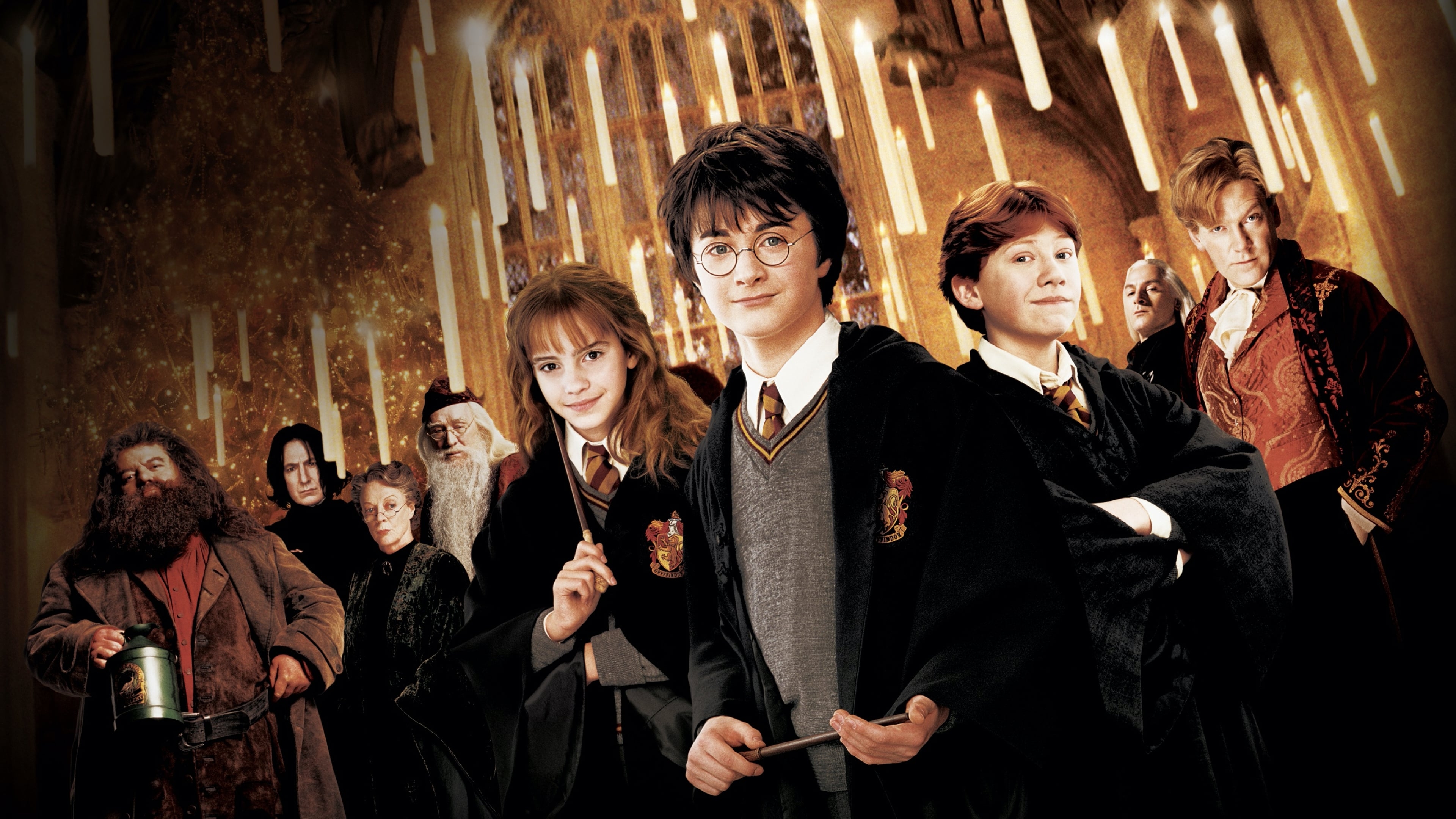 HD wallpaper, Emma Watson As Hermione Granger, Daniel Radcliffe As Harry Potter, Harry Potter And The Chamber Of Secrets, Ron Weasley