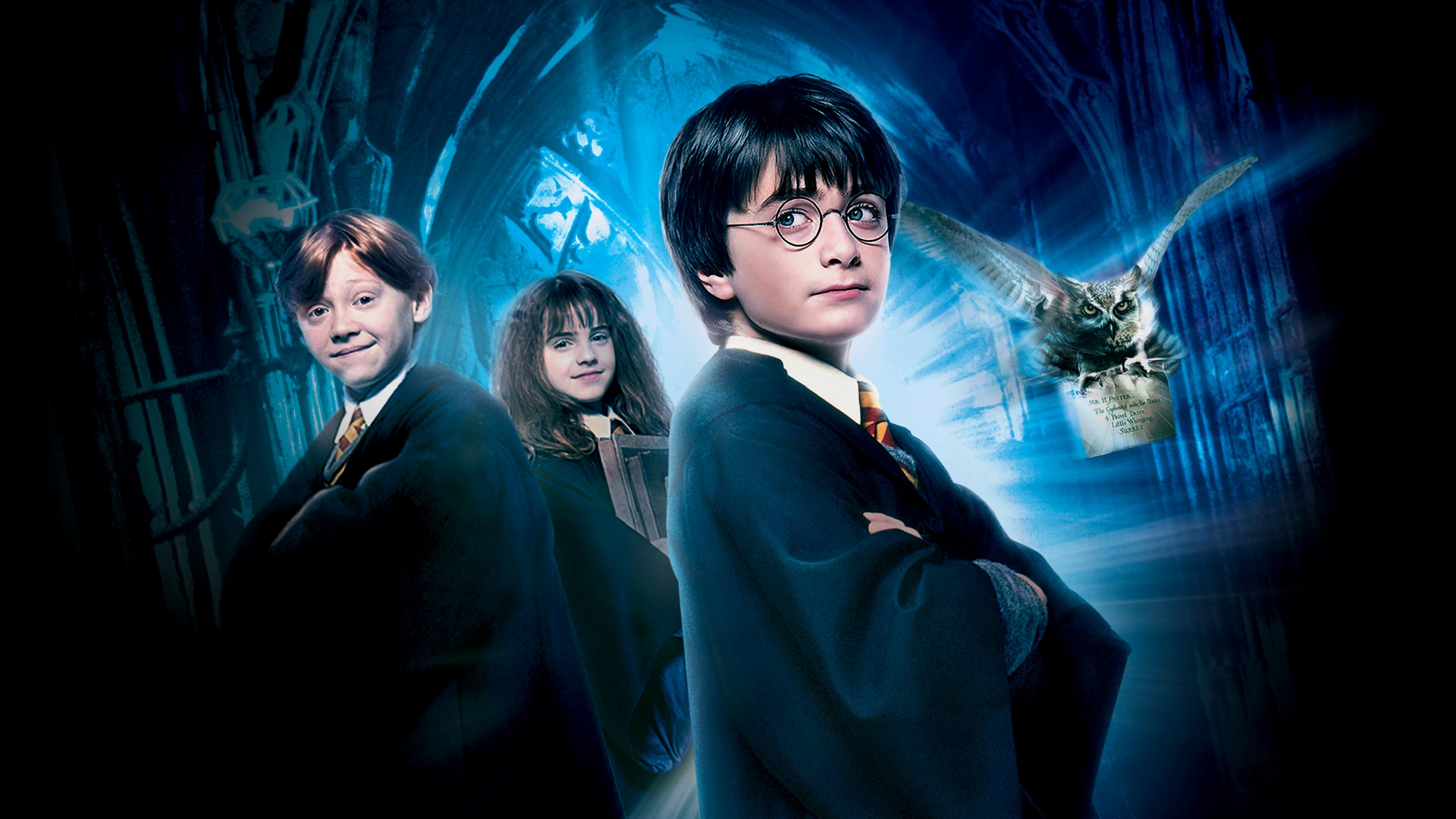 HD wallpaper, Emma Watson As Hermione Granger, Ron Weasley, Daniel Radcliffe As Harry Potter