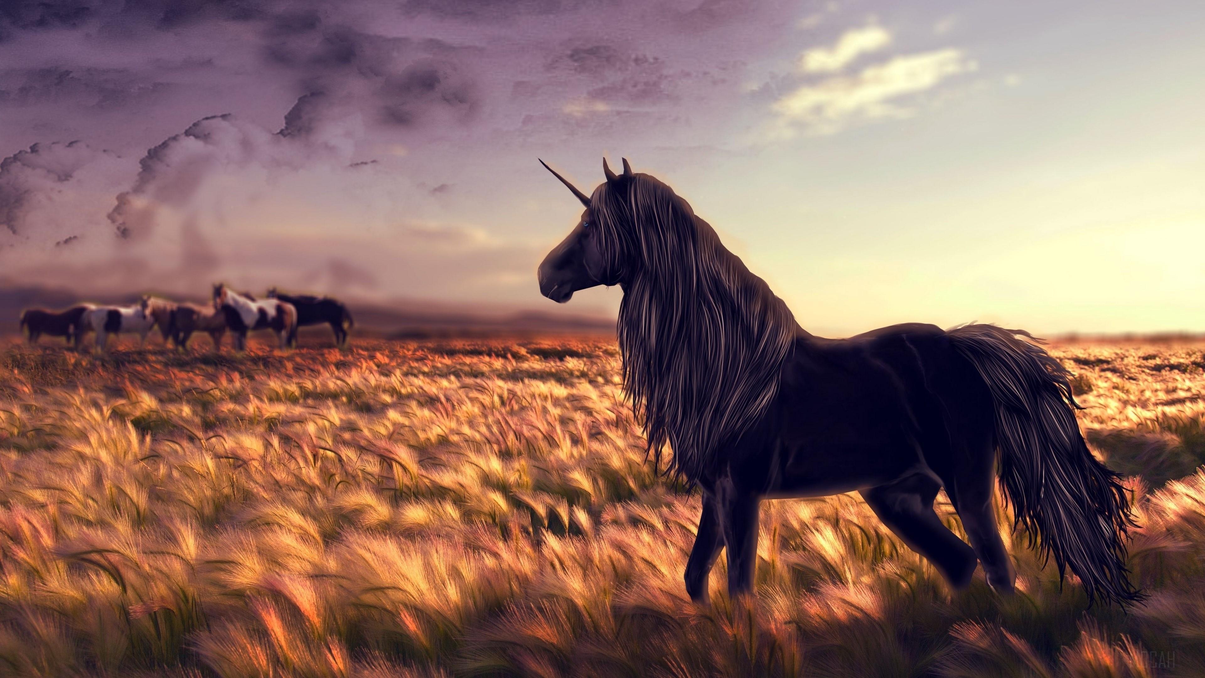 HD wallpaper, Horse, Art, Golf, Wind 4K, Grass, Unicorn