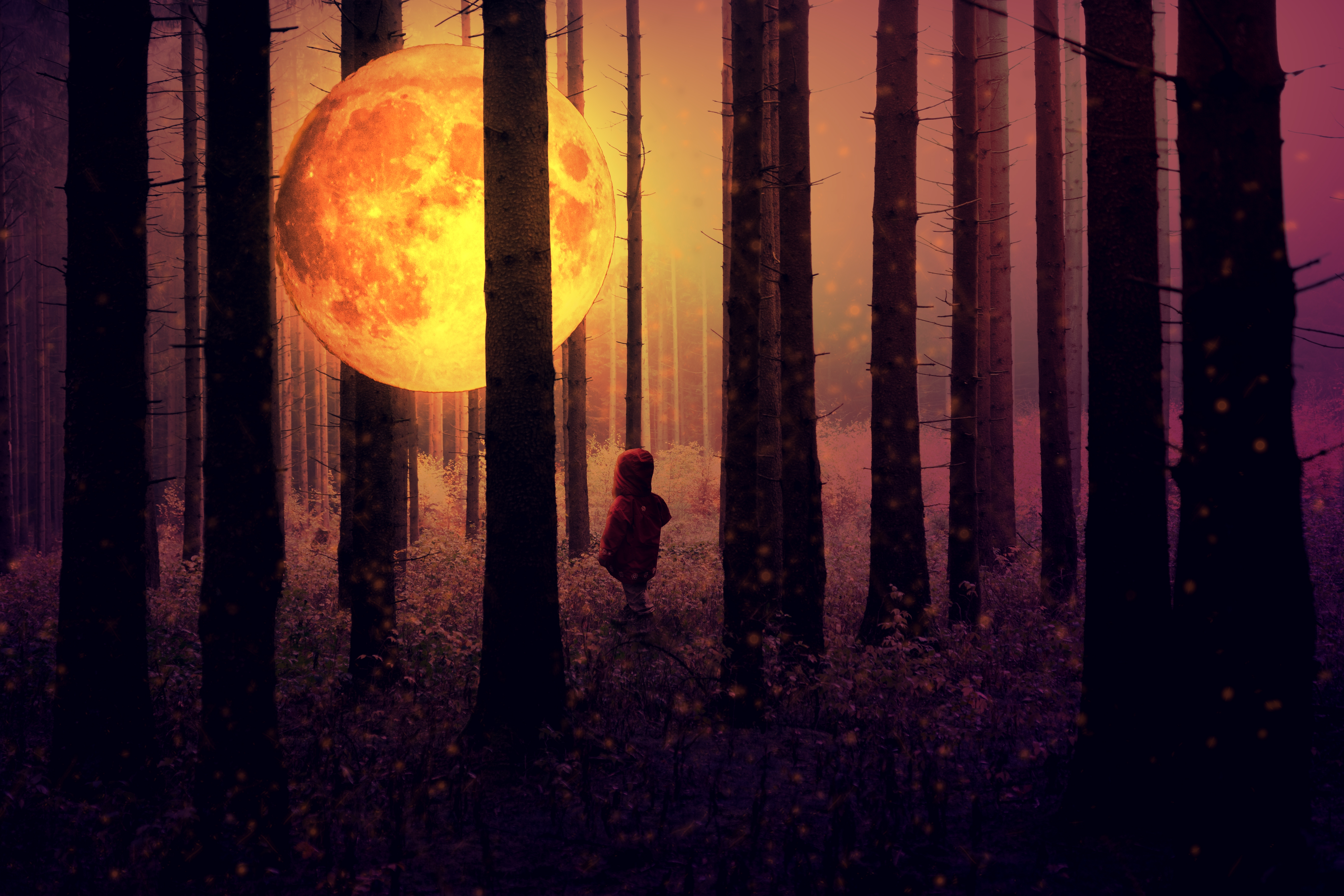 HD wallpaper, Surreal, Kid, Tall Trees, Full Moon, Night Time, Forest, Mystic, 5K, Woodland