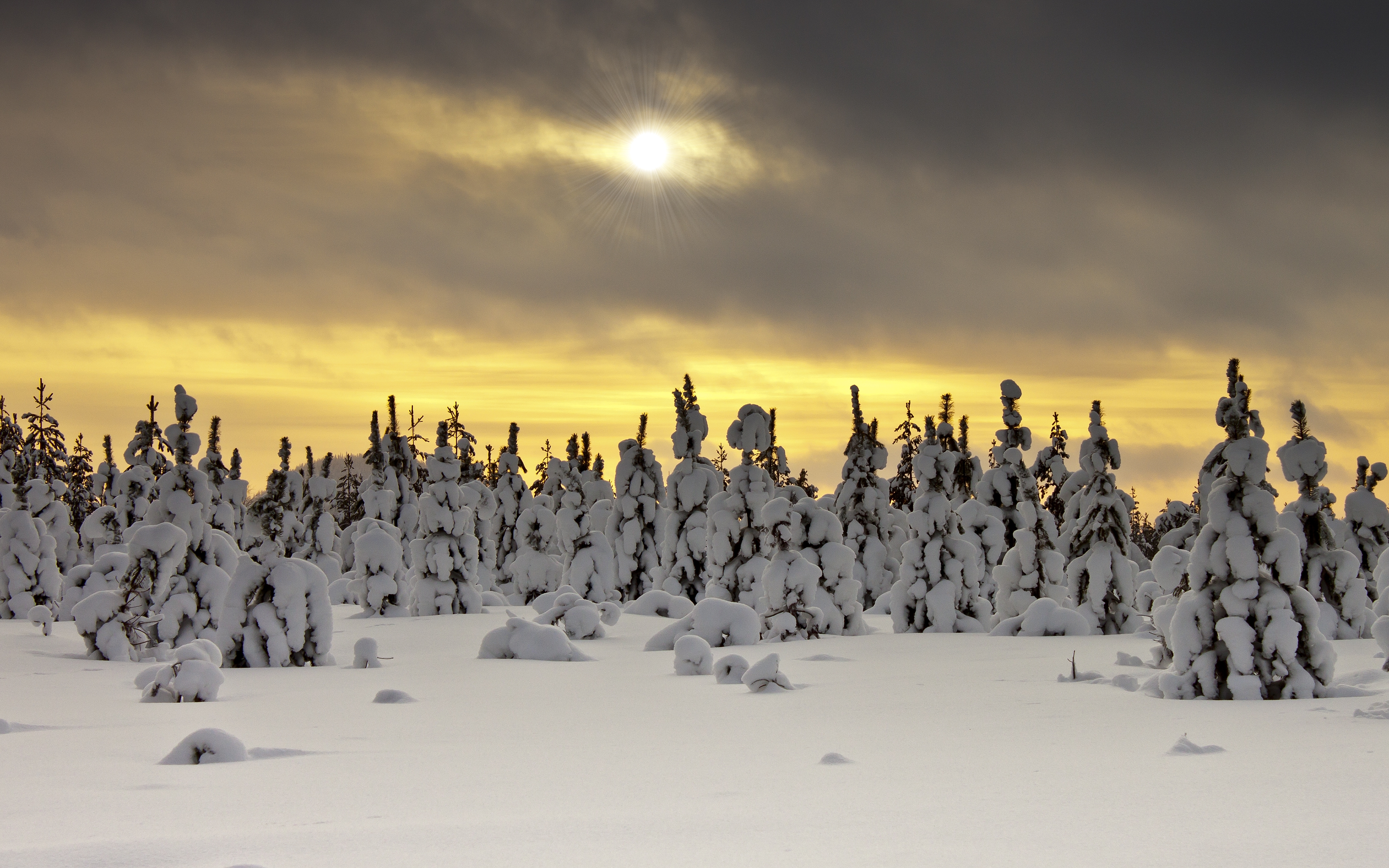 HD wallpaper, Snowy Trees, Cloudy Sky, Winter, Sun Rays, Snow Covered, Landscape, Sunset