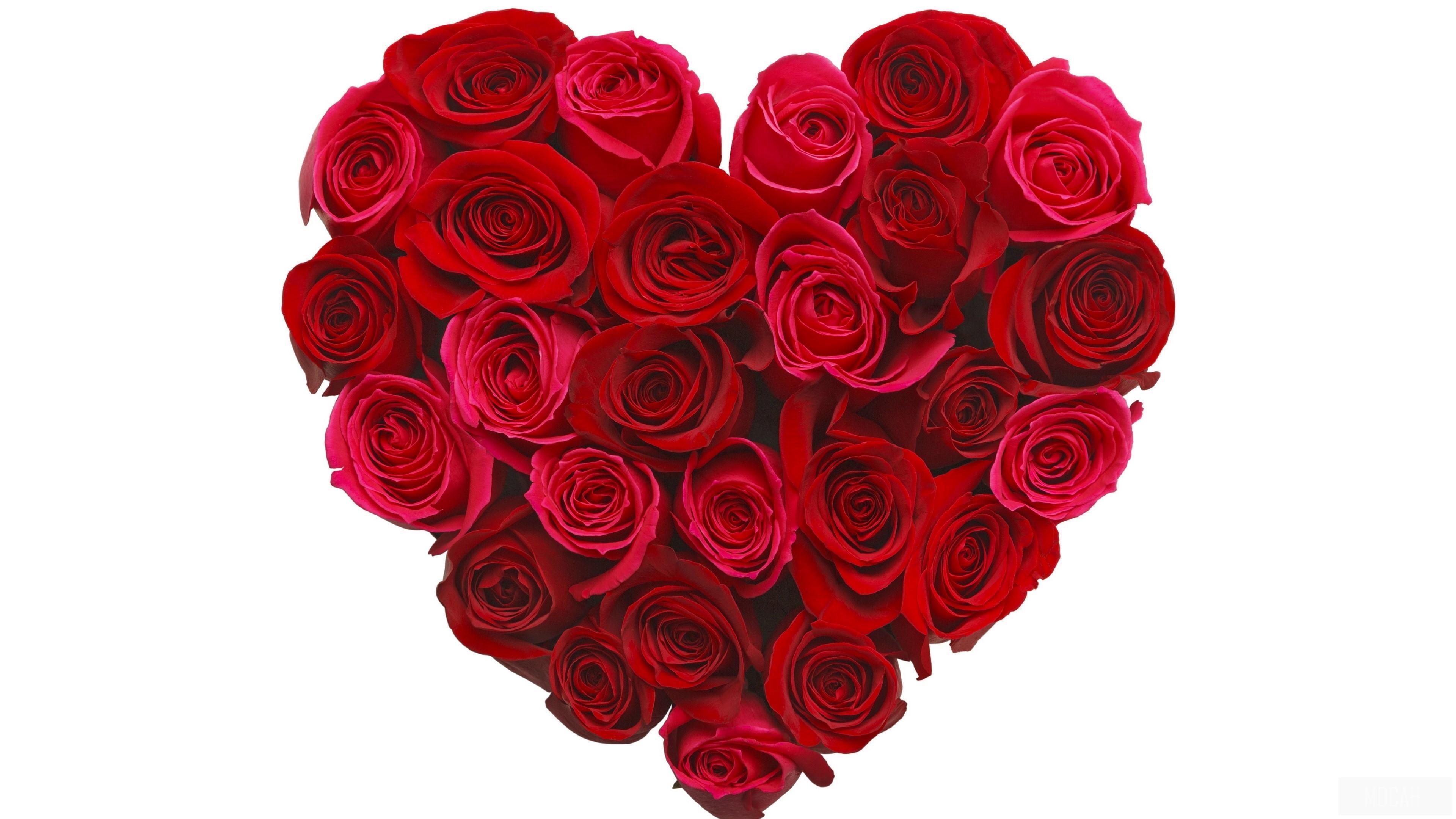HD wallpaper, Love, Romantic, Rose 4K, Red Flower, Heart, Flower