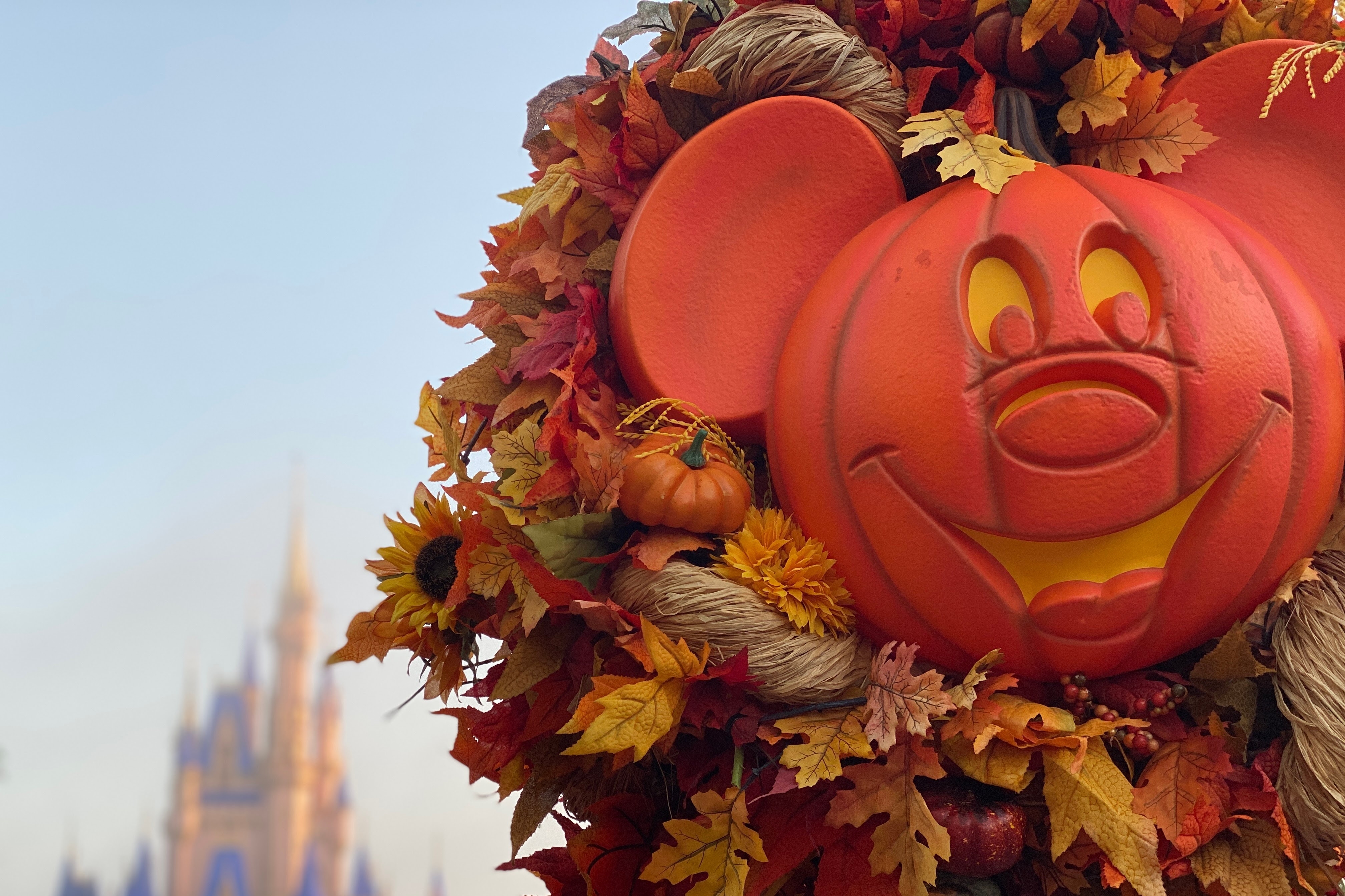 HD wallpaper, Disney World, Fall, Mickey Mouse, Thanksgiving, Autumn Leaves, Pumpkin
