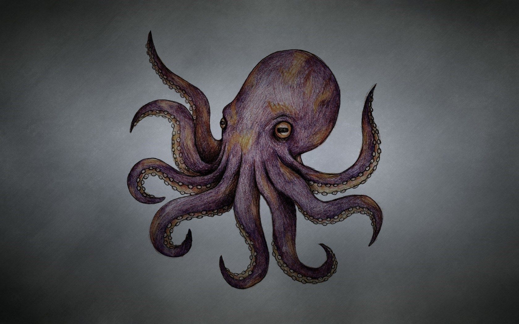HD wallpaper, Art, Octopus, Tentacles