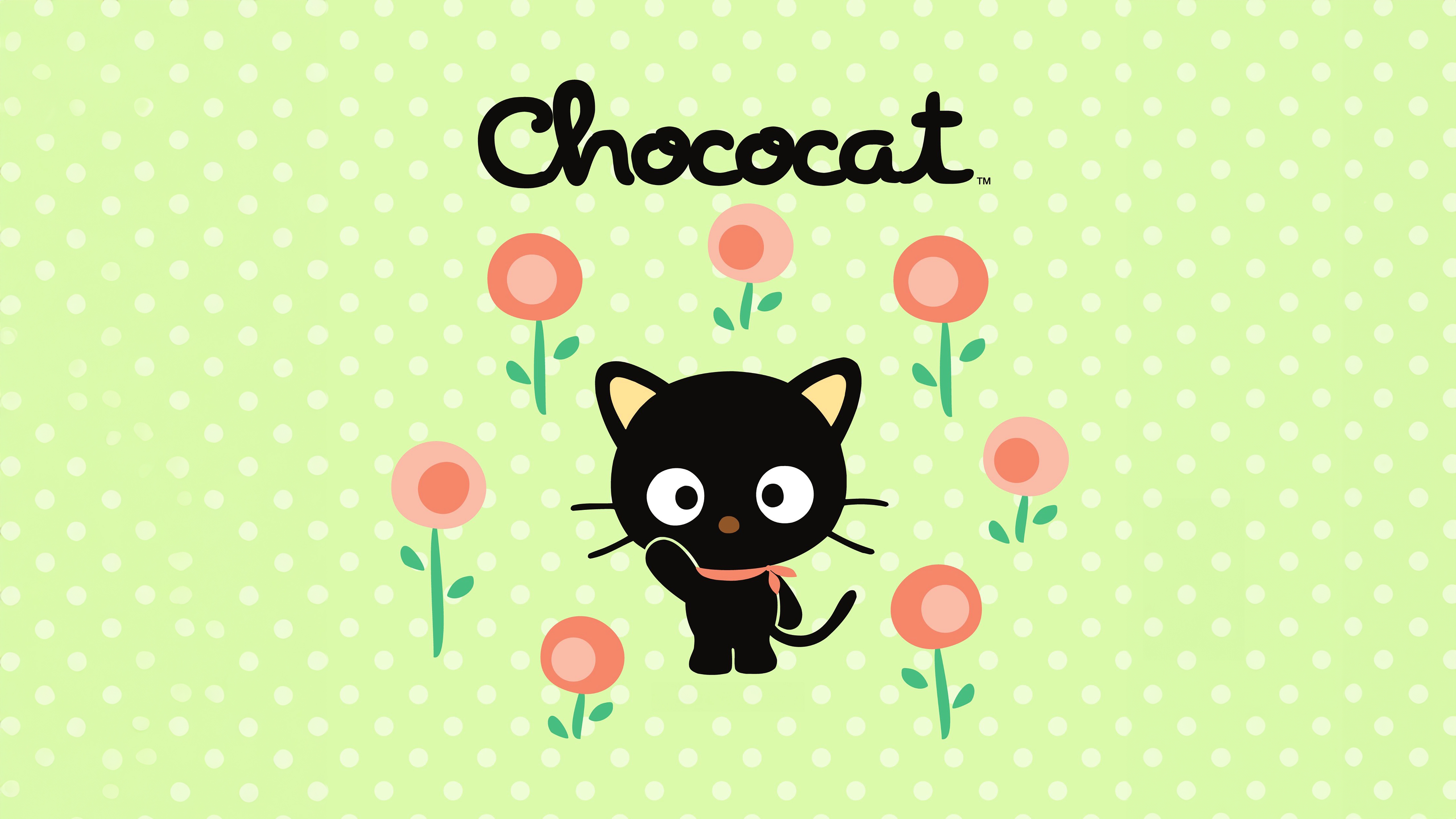 HD wallpaper, Green Background, Cute Cartoon, Polka Dots, Sanrio, Chococat