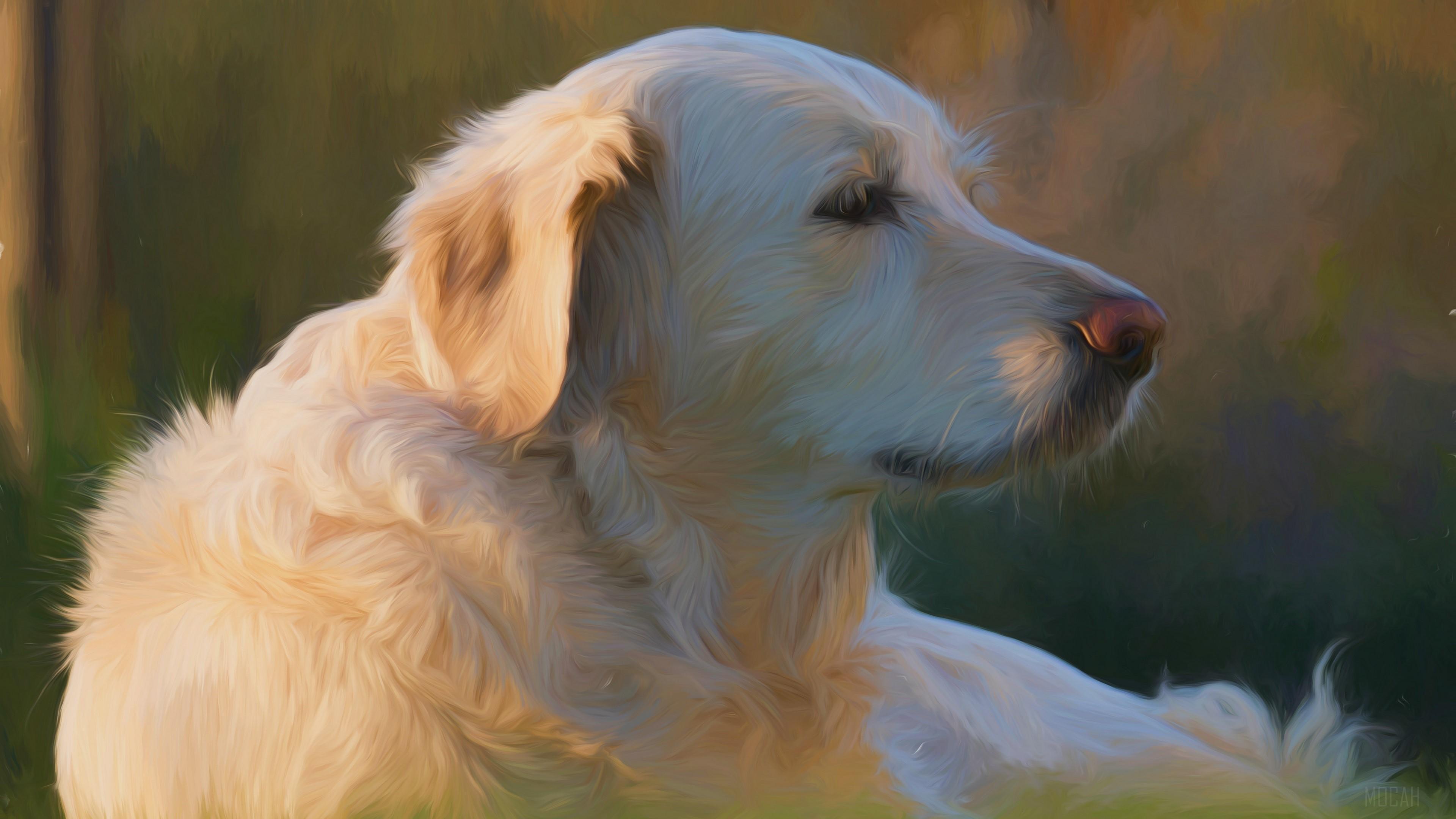 HD wallpaper, Oil Painting, Lying Down, Pet, Dog, Painting, Labrador Retriever, Portrait 4K