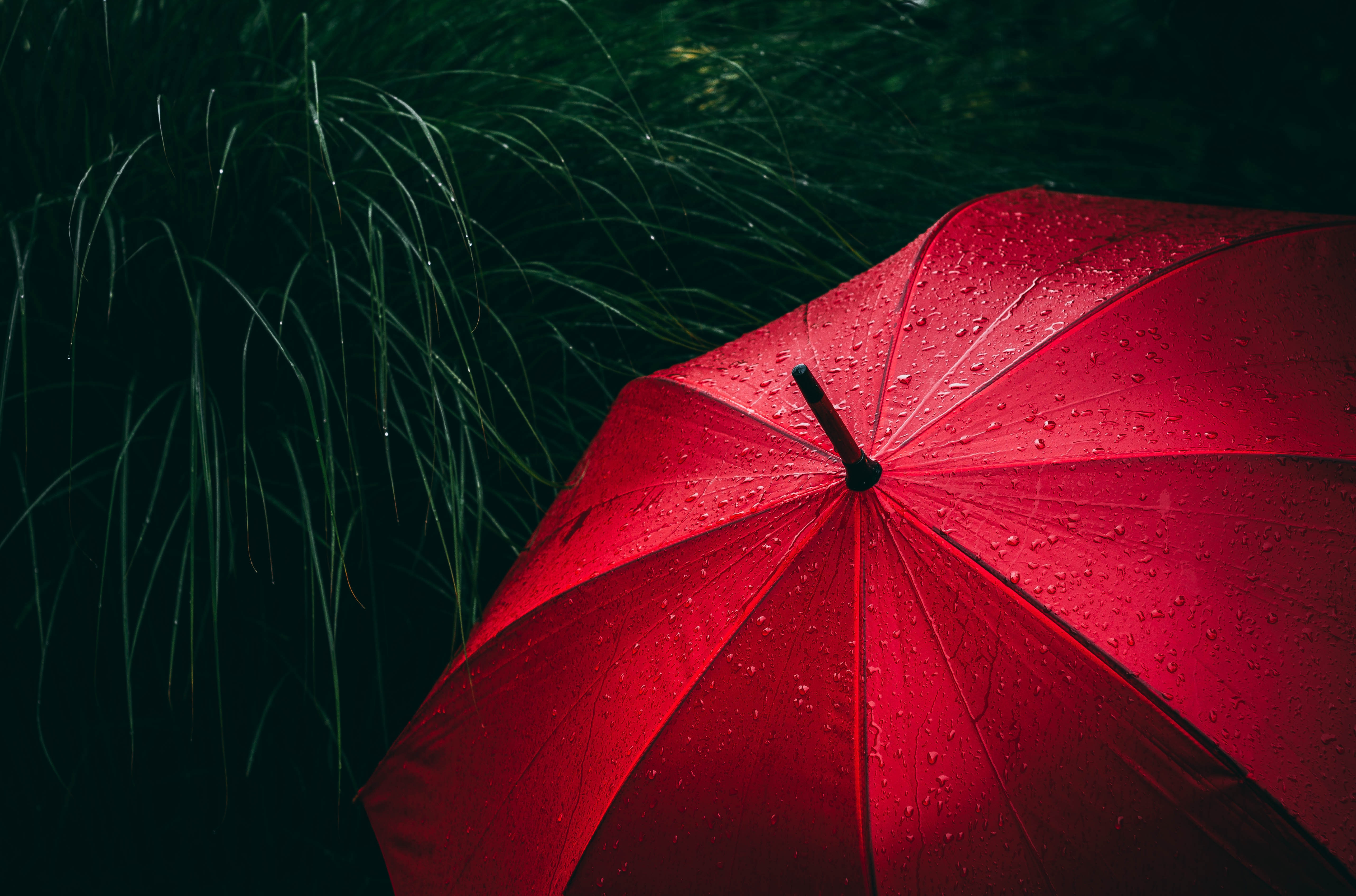 HD wallpaper, Umbrella, Rainy Day, Rain Droplets, 5K, Red
