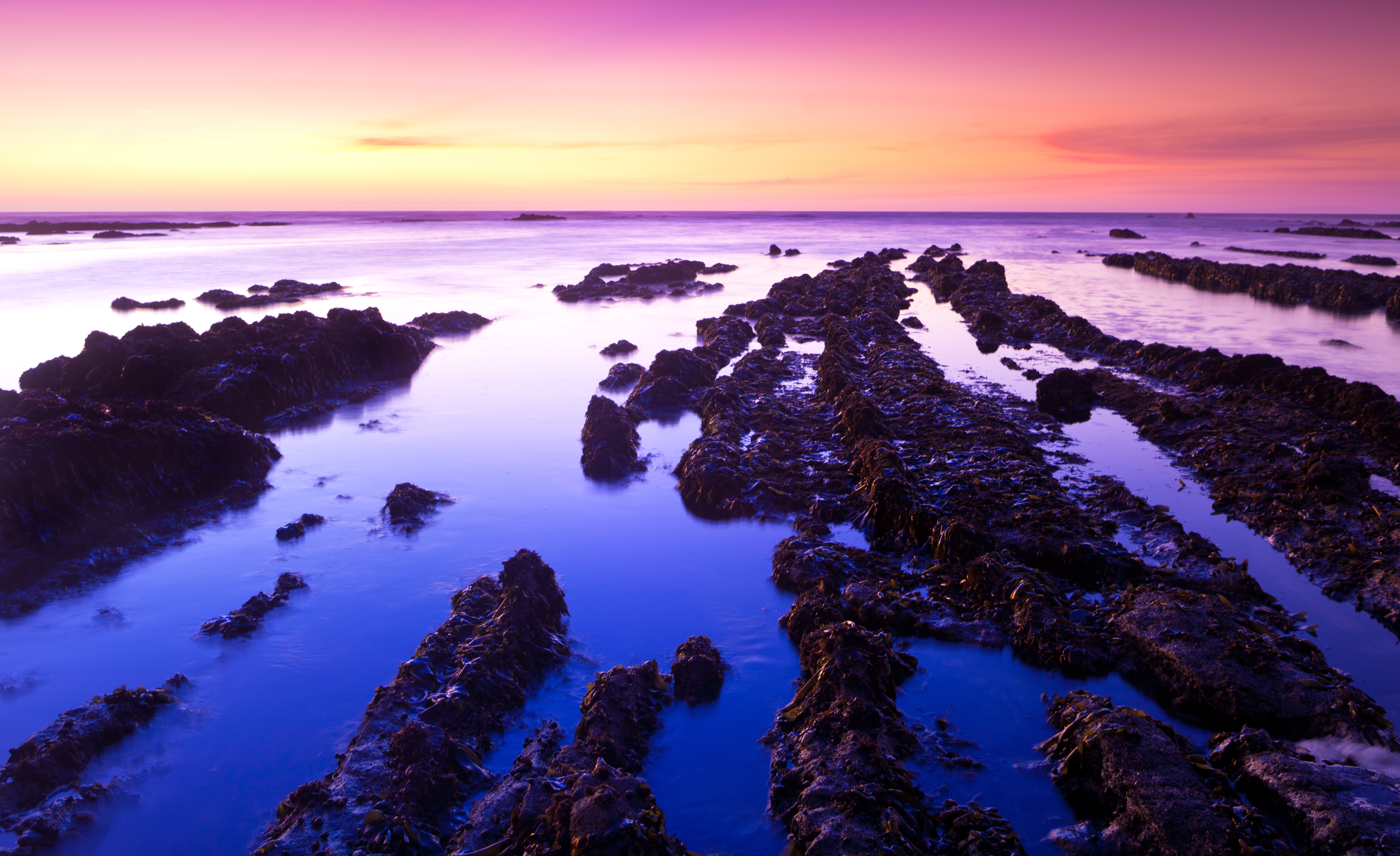 HD wallpaper, 5K, Purple Sky, Fitzgerald Marine Reserve, Ocean, Clear Sky, Landscape, Sunset, California, Moss Beach, , Rocks, Body Of Water, Usa, Seascape, Horizon