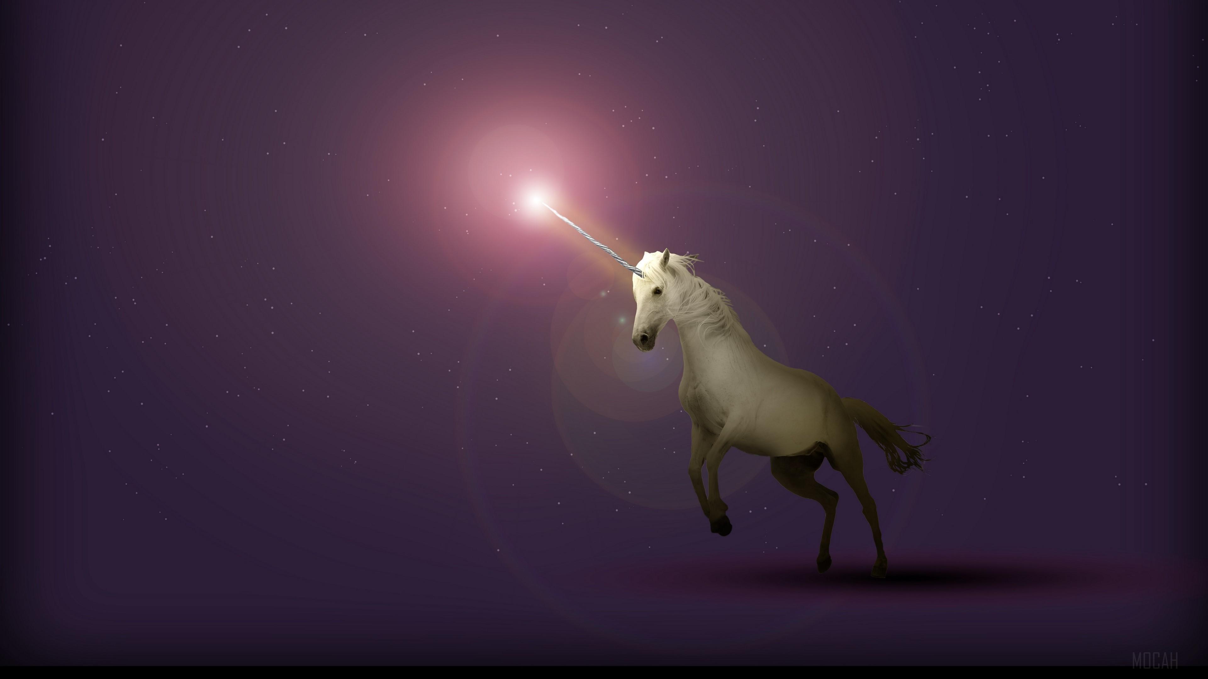 HD wallpaper, Unicorn, Starry Sky, Fantasy 4K, Art