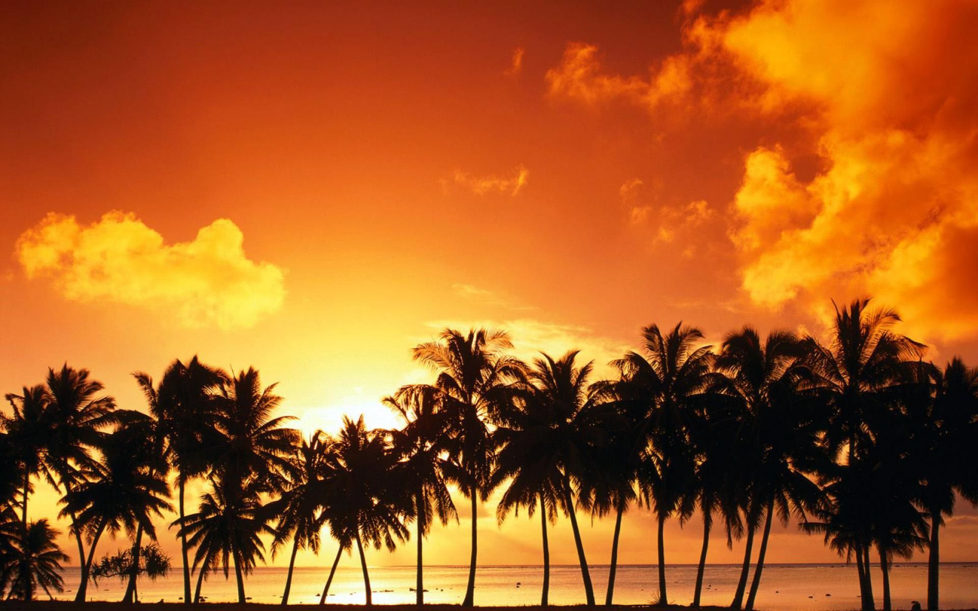 HD wallpaper, Sunset, Beach, Coco