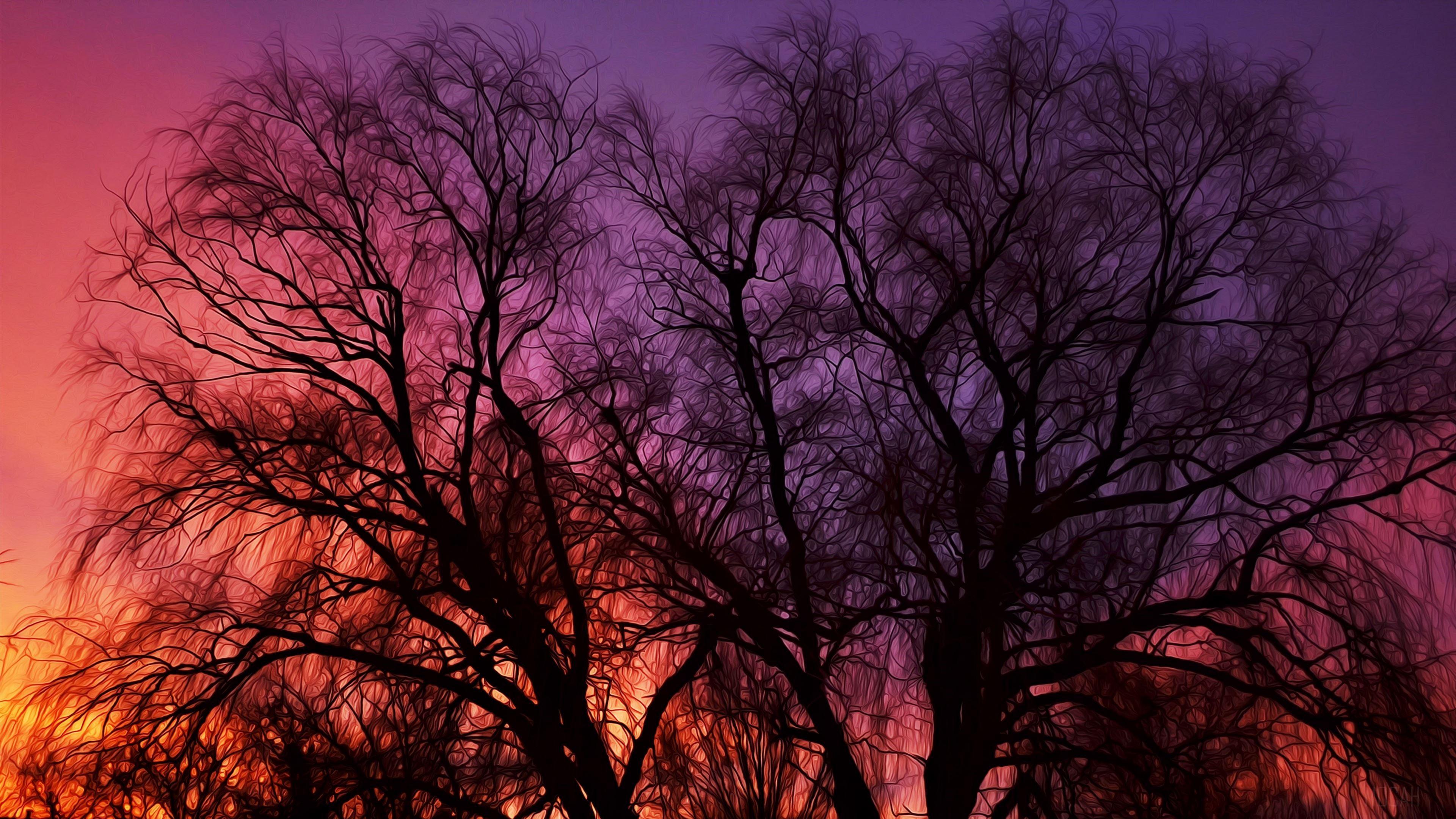 HD wallpaper, Artistic, Tree 4K, Silhouette, Sky, Painting, Pink, Sunset, Oil Painting, Branch, Purple