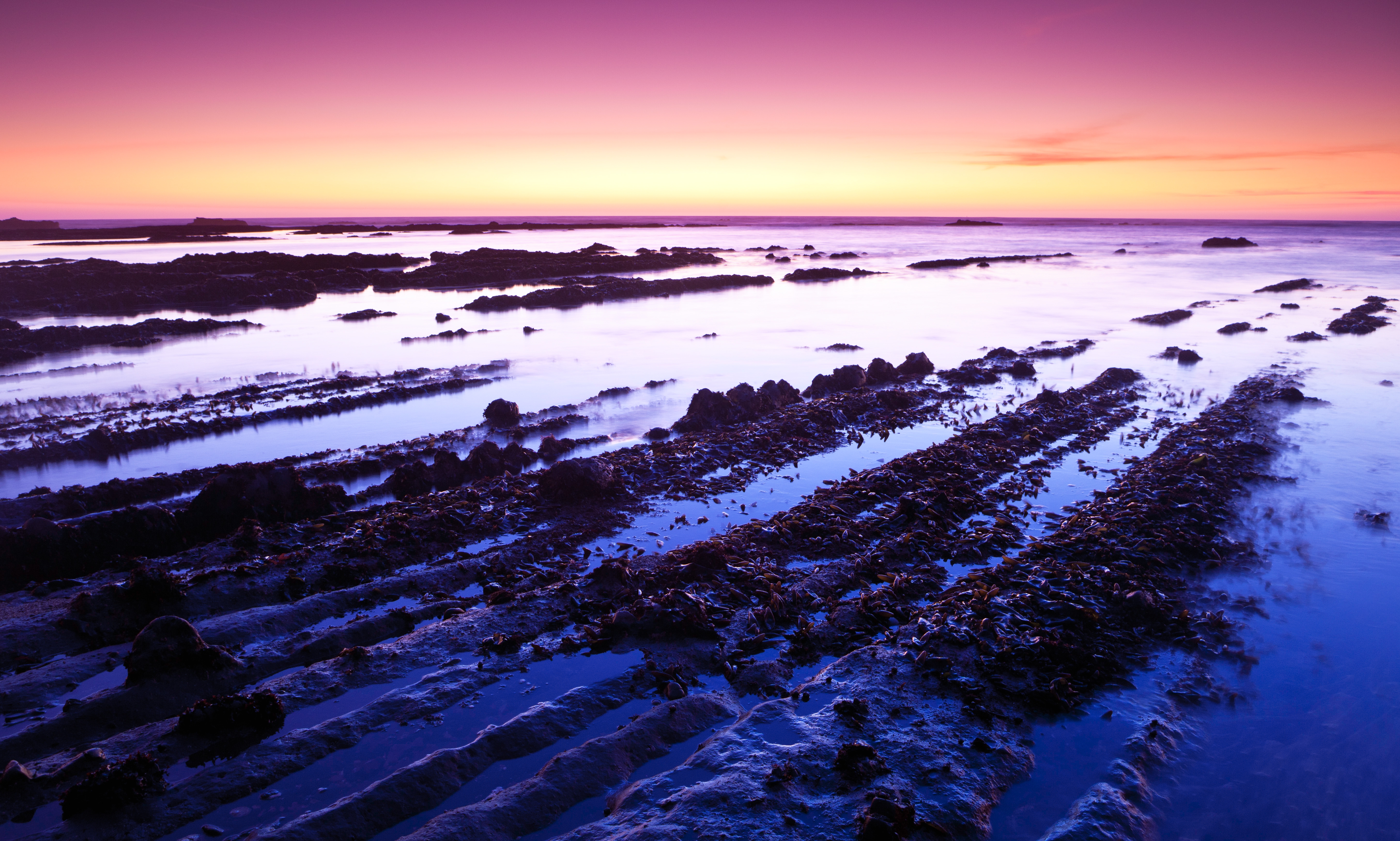 HD wallpaper, California, Body Of Water, Rocks, Horizon, Sunset, Purple Sky, Seascape, Landscape, 5K, Usa, Fitzgerald Marine Reserve, Moss Beach, Clear Sky