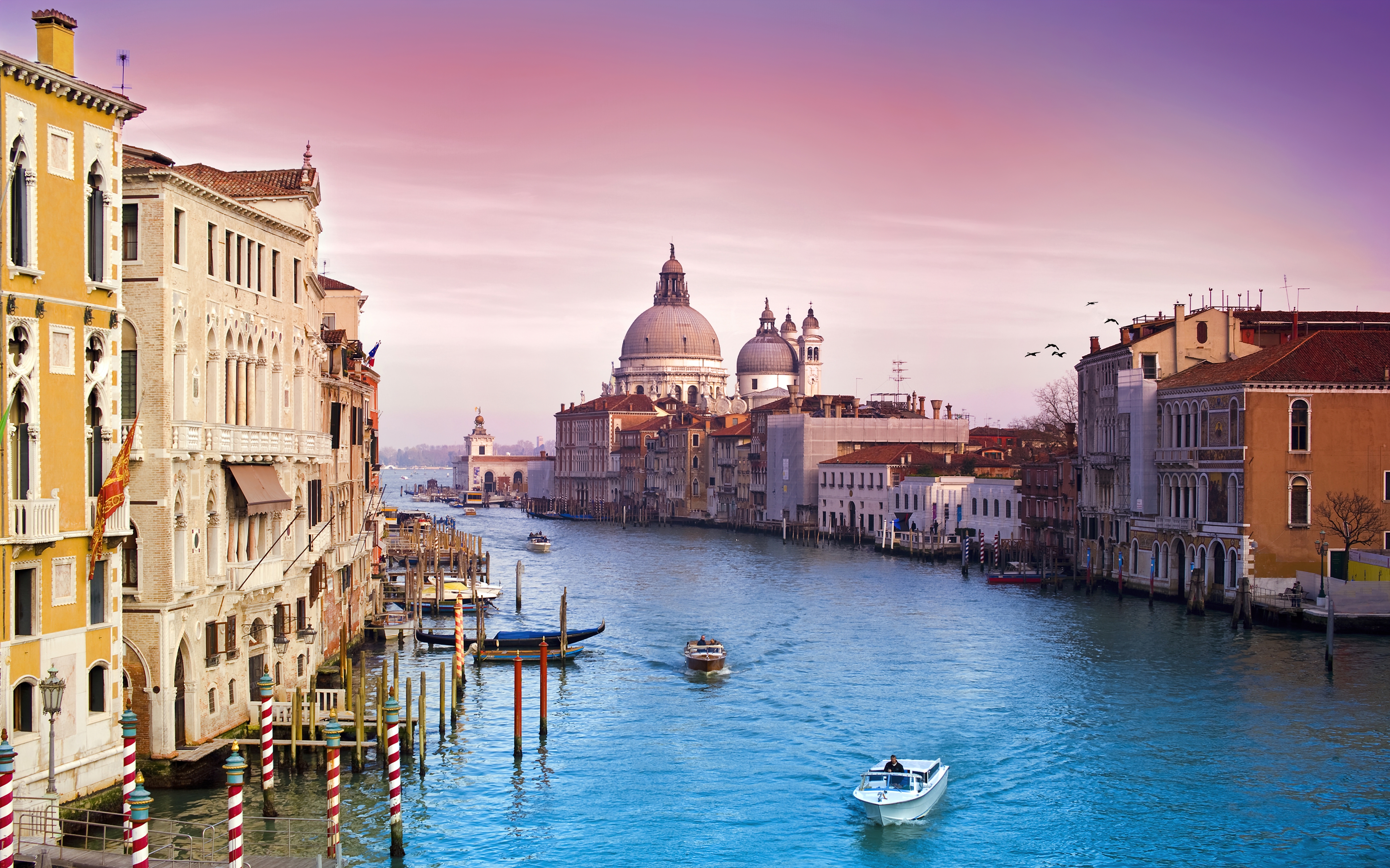 HD wallpaper, Italy, Vivid, Ancient Architecture, Venice City, Roman Catholic Church, Sunset, Venice, Aesthetic, Santa Maria Della Salute, Pink Sky, Grand Canal