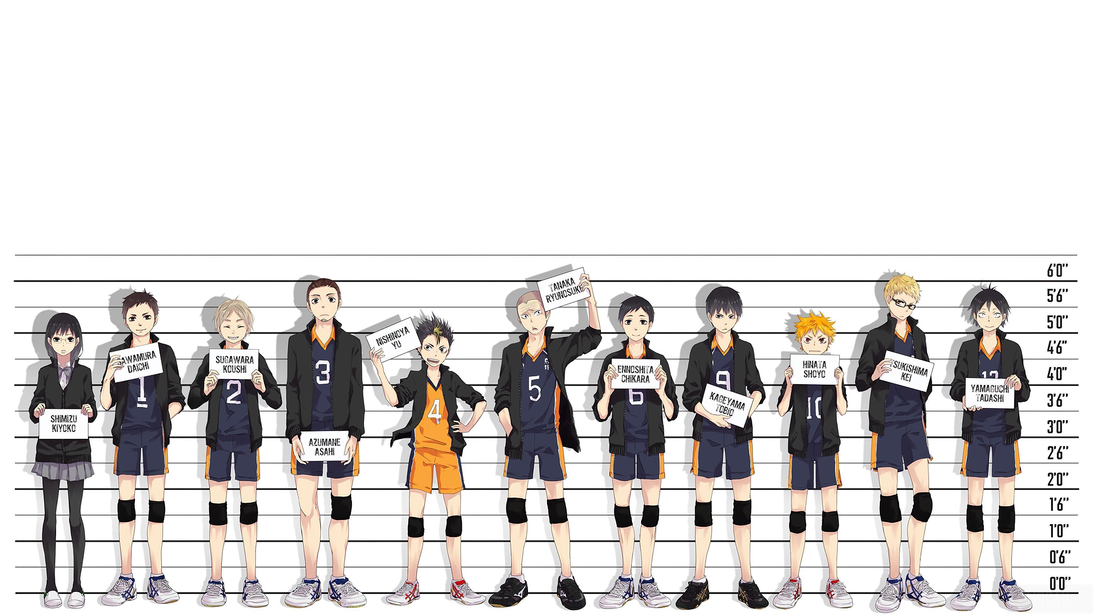 HD wallpaper, Characters 4K, Haikyuu, Anime, Team, Volleyball, Karasuno