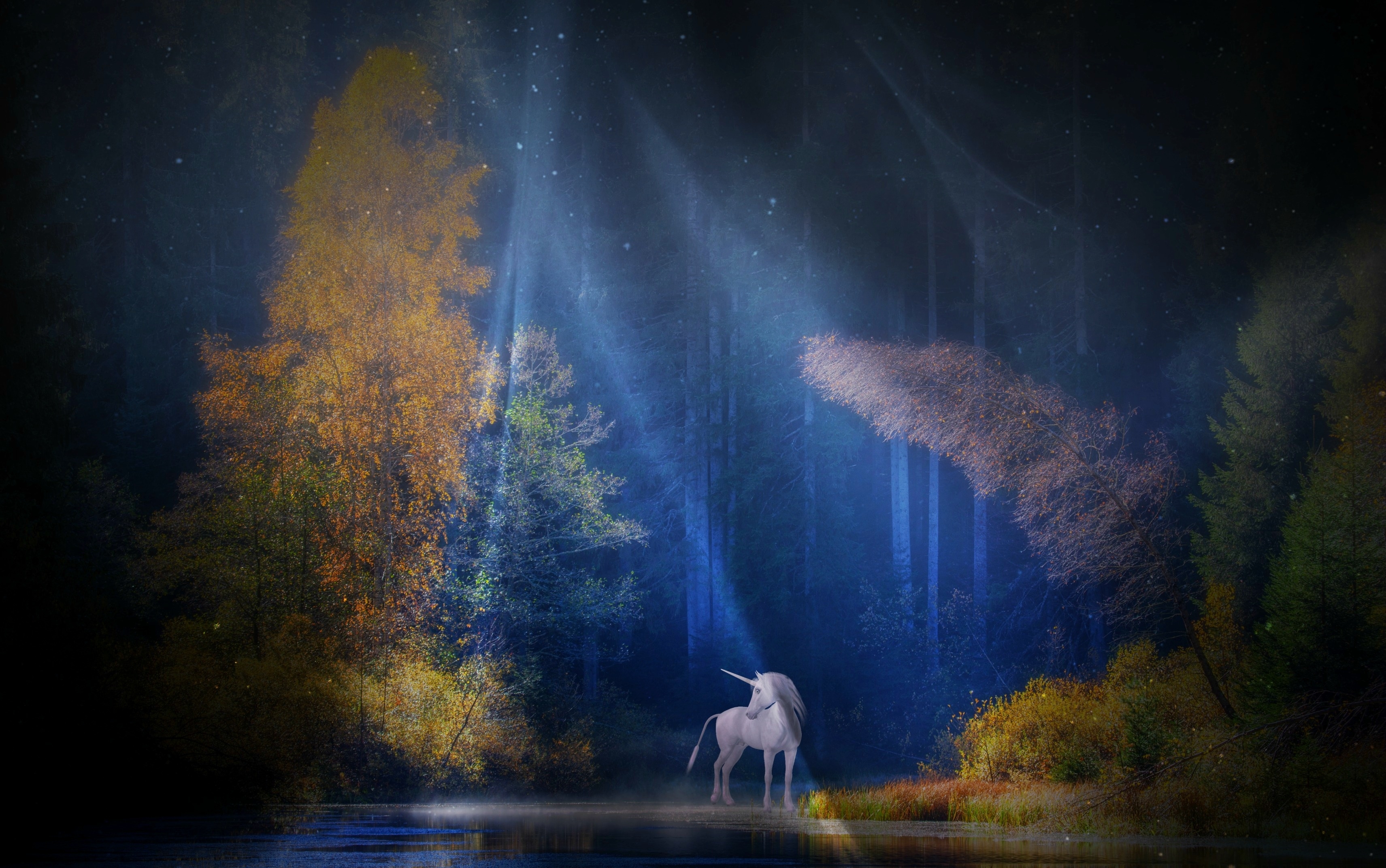 HD wallpaper, Woods, Fairy Tale, Mythical, Light Beam, Unicorn, Scenery, Tall Trees, Forest, Water