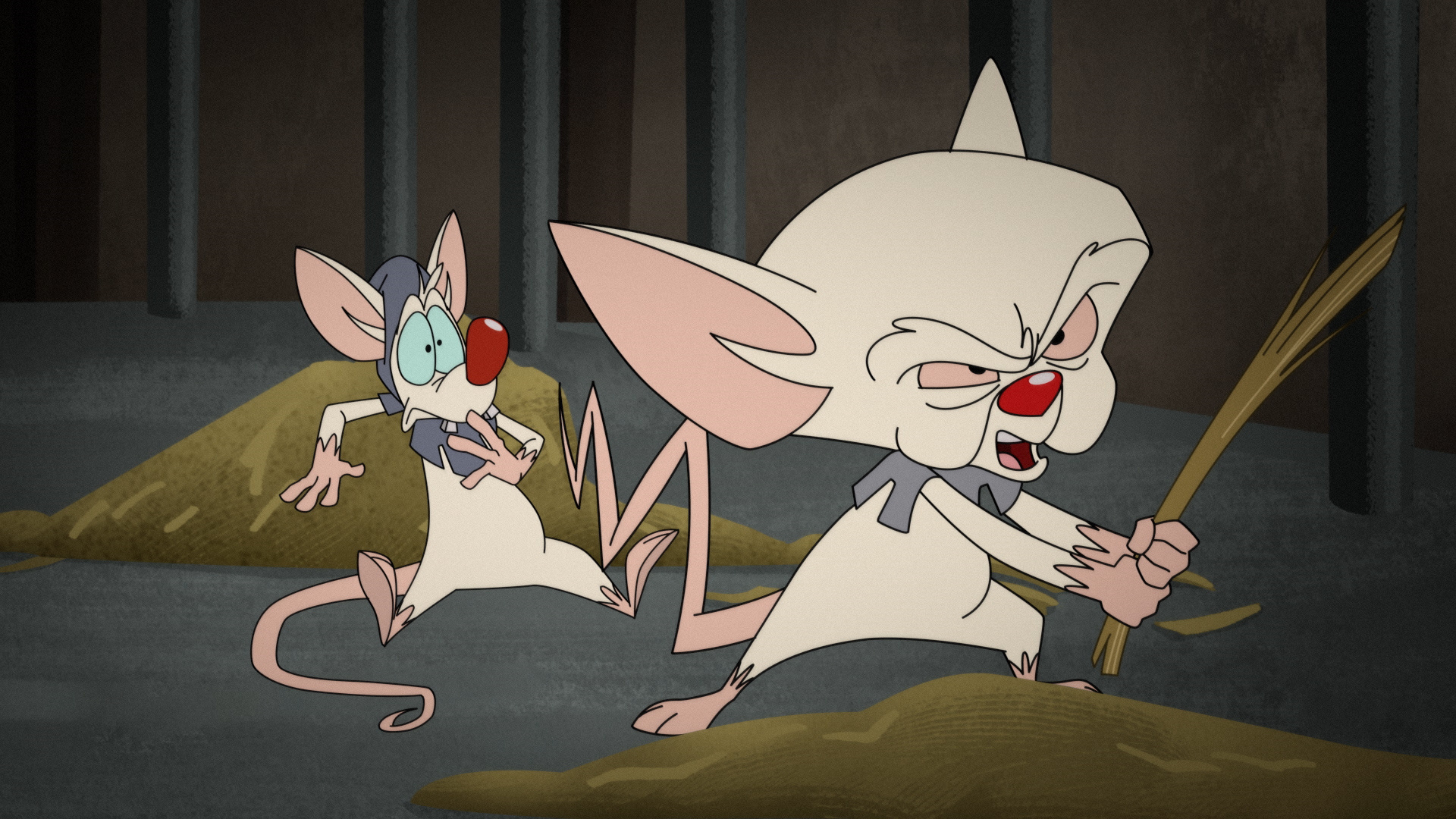 HD wallpaper, Character Analysis, Voices Behind Pinky And The Brain, Canadian Voice Actor, Maurice Lamarche, Desktop 1080P Pinky And The Brain Wallpaper, 1920X1080 Full Hd Desktop
