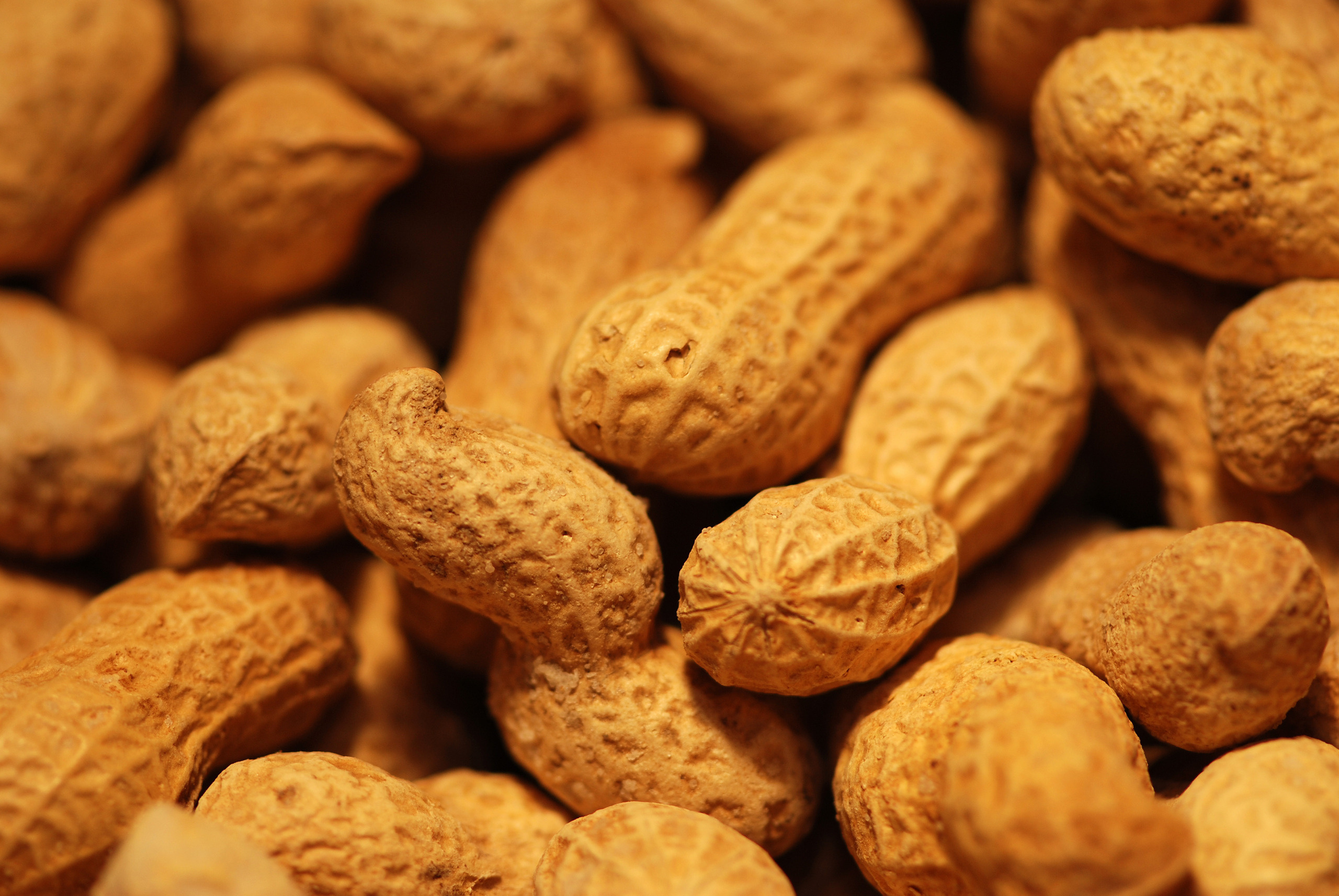 HD wallpaper, Crunchy Snack, Assorted Nuts, Desktop Hd Peanuts Wallpaper Photo, 2560X1720 Hd Desktop