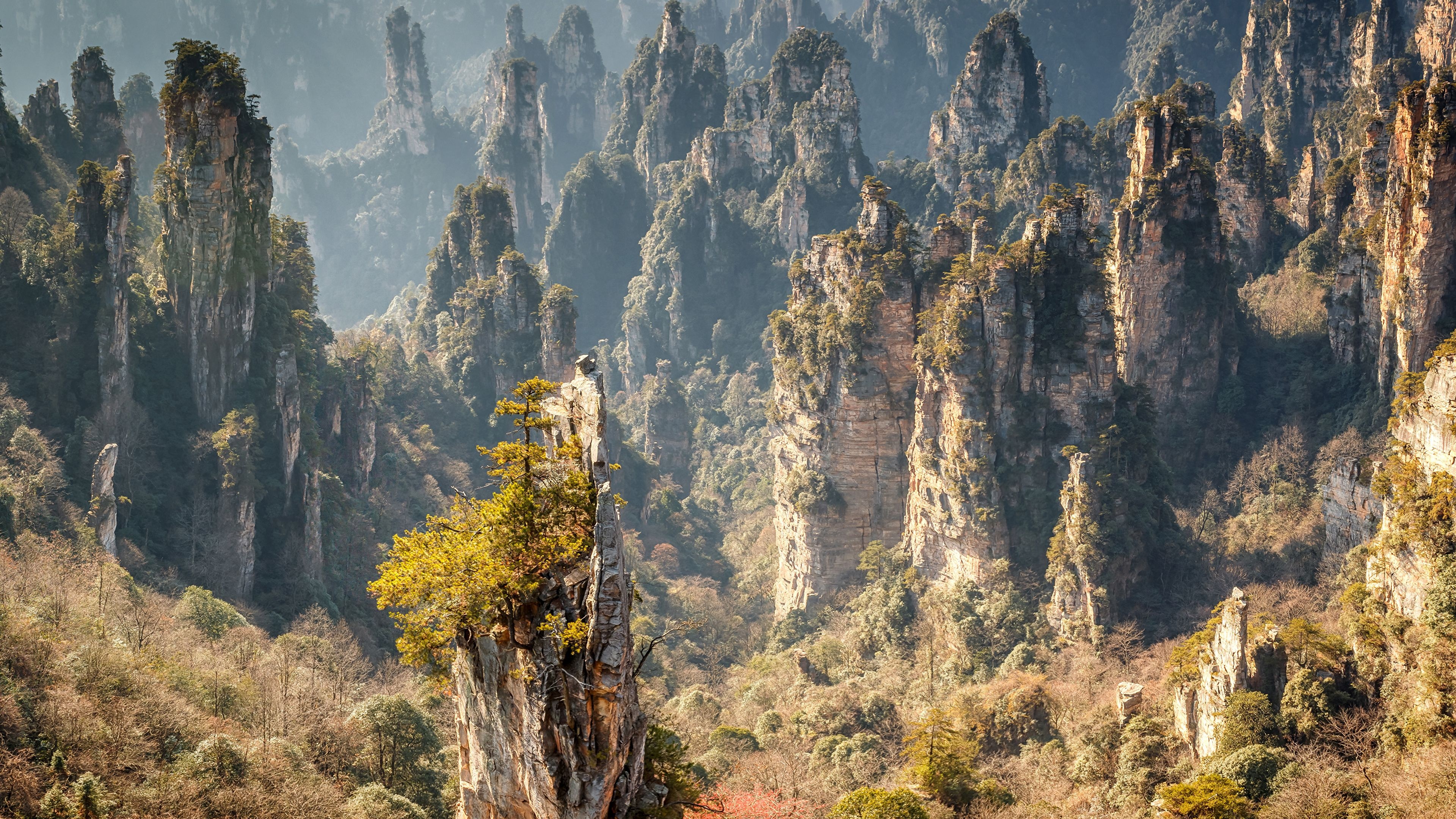 HD wallpaper, Zhangjiajie National Forest Park, Stunning Backgrounds, Desktop 4K Zhangjiajie National Forest Park Background Photo, 3840X2160 4K Desktop, 3840 X 2160 Forest Wallpapers
