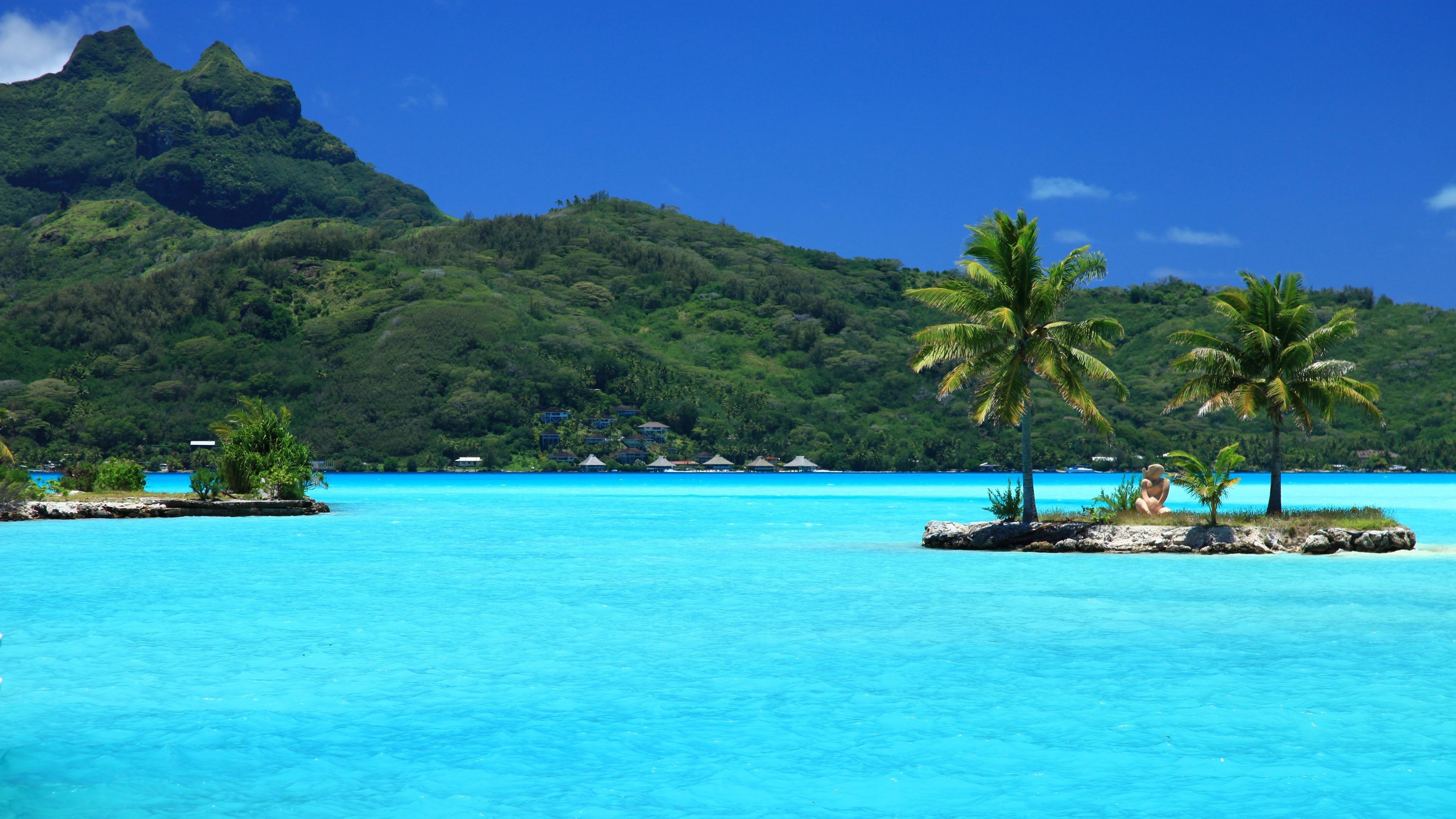 HD wallpaper, Tropical Paradise, Desktop 4K Tonga Background Image, 3840X2160 4K Desktop, Popular Backgrounds, Tonga Travels, Palm Tree Island